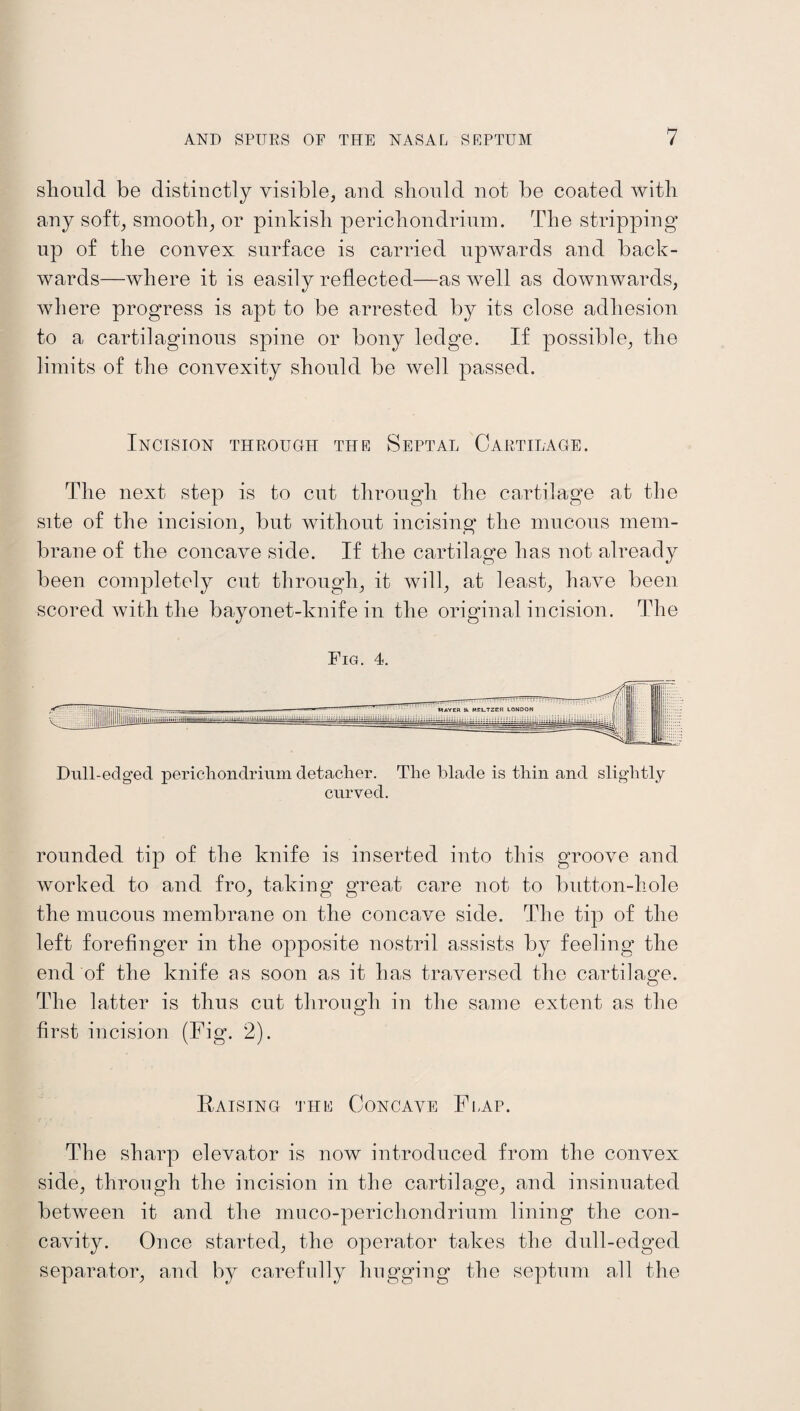 should be distinctly visible, and should not be coated with any soft, smooth, or pinkish perichondrium. The stripping up of the convex surface is carried upwards and back¬ wards—where it is easily reflected—as well as downwards, where progress is apt to be arrested by its close adhesion to a cartilaginous spine or bony ledge. If possible, the limits of the convexity should be well passed. Incision through the Septal Cartilage. The next step is to cut through the cartilage at the site of the incision, but without incising the mucous mem¬ brane of the concave side. If the cartilage has not already been completely cut through, it will, at least, have been scored with the bayonet-knife in the original incision. The Fig. 4. Dull-edged perichondrium detacher. The blade is thin and slightly curved. rounded tip of the knife is inserted into this groove and worked to and fro, taking great care not to button-hole the mucous membrane on the concave side. The tip of the left forefinger in the opposite nostril assists by feeling the end of the knife as soon as it has traversed the cartilage. The latter is thus cut through in the same extent as the first incision (Fig. 2). Raising the Concave Flap. The sharp elevator is now introduced from the convex side, through the incision in the cartilage, and insinuated between it and the muco-perichondrium lining the con¬ cavity. Once started, the operator takes the dull-edged separator, and by carefully hugging the septum all the