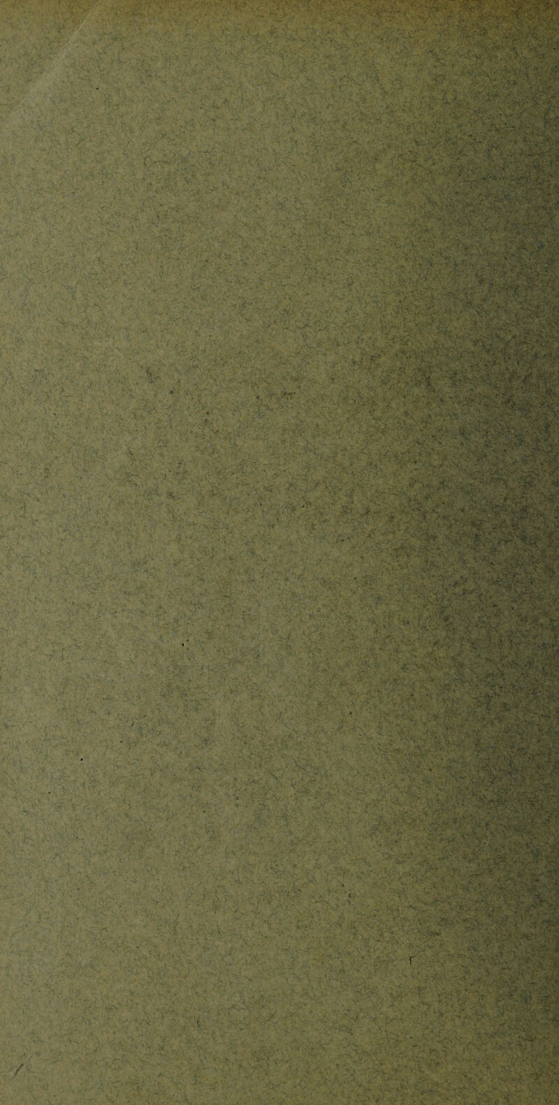 ■ ■ i v.- >jk • -’ ■ , ,\'S» . \ *• ' s'V. ï-h.*.V, ■ ■ -V. '■‘ÏVAÎ. - A > ?: v?:v; ■ Çifc .'ÿ4T:. &;3fP#É ■v, . • ■ ’ 'v,_K'*’ .'• VTr O y. ** -X, .:.V^ •• ; •■ . < • -*• %tf •fr- 'i-v y> ^ -, - aVi . » .2-.- <*. irV^i fefîvrïÿ..- r> x ;ÇS£i :•••>' .'  mu&£ iV--':* Va v ’•••.' .'.; ■. -v :« ■ . v ’\.v •■ < :» :•:  .v , w - v.. ■» . i ■ k.v?- r ■ :t -.•> ’.'r <i • ■ •> ; «.-v -'>i r • >. . J. • • .. - , ' , • “s* - ‘ .»»• ! - -i ■*}%.'. • *CJ$Z - ■>$L3-; ->T&i^Se-;.,v '•,-iT vr’vS'v. /2b.v ':•>'■ — . >*t -j -i.' cjfâc-.Tr • *3£- ■ - x‘- . ..•« ? rs ‘ ' < •♦,'• » ■• vi. •« ', V ;• r . >-/ • <•- s • ; • ■. Vi.. , . , ; J V ^ Ç'r^y v kl ' , / :.: -»...r ... • ? -s- ;■■-...'t%;\ - ; ■ '• *.'4 ■ •JL • . •'*» ‘s • • +.y ! ■ ■■ ■.■-r ;vV- v. v-f-o, ...> ? A ■ ‘ : «•/rÿixVxvX -ÿcf-C'.v.^V ^ V i..v45v . ^ . ' J -J- ^; -v - A •' , •■*...jw igv? .gS». V - . -s • • • -v^v. x.