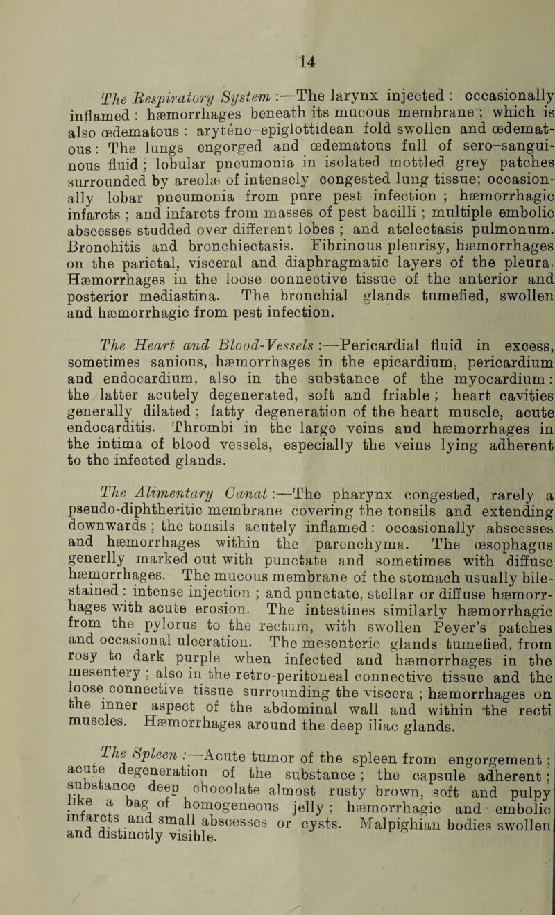 The Respiratory System The larynx injected : occasionally inflamed : hemorrhages beneath its mucous membrane ; which is also cedematous : aryteno-epiglottidean fold swollen and cedemat- ous: The lungs engorged and oedematous full of sero-sangui- nous fluid ; lobular pneumonia in isolated mottled grey patches surrounded by areolae of intensely congested lung tissue; occasion¬ ally lobar pneumonia from pure pest infection ; hemorrhagic infarcts ; and infarcts from masses of pest bacilli; multiple embolic abscesses studded over different lobes ; and atelectasis pulmonum. Bronchitis and bronchiectasis. Fibrinous pleurisy, hemorrhages on the parietal, visceral and diaphragmatic layers of the pleura. Hemorrhages in the loose connective tissue of the anterior and posterior mediastina. The bronchial glands tumefied, swollen and hemorrhagic from pest infection. The Heart and Blood-Vessels :—Pericardial fluid in excess, sometimes sanious, hemorrhages in the epicardium, pericardium and endocardium, also in the substance of the myocardium: the latter acutely degenerated, soft and friable ; heart cavities generally dilated ; fatty degeneration of the heart muscle, acute endocarditis. Thrombi in the large veins and haemorrhages in the intima of blood vessels, especially the veins lying adherent to the infected glands. The Alimentary Canal:—The pharynx congested, rarely a pseudo-diphtheritic membrane covering the tonsils and extending downwards ; the tonsils acutely inflamed: occasionally abscesses and haemorrhages within the parenchyma. The oesophagus generlly marked out with punctate and sometimes with diffuse haemorrhages. The mucous membrane of the stomach usually bile- stained : intense injection ; and punctate, stellar or diffuse haemorr¬ hages with acute erosion. The intestines similarly haemorrhagic from the _ pylorus to the rectum, with swollen Peyer’s patches and occasional ulceration. The mesenteric glands tumefied, from rosy to dark purple when infected and haemorrhages in the mesentery ; also in the retro-peritoneal connective tissue and the loose connective tissue surrounding the viscera ; haemorrhages on the inner aspect of the abdominal wall and within *the recti muscles. Haemorrhages around the deep iliac glands. iVn? Spleen : Acute tumor of the spleen from engorgement; i acute degeneration of the substance ; the capsule adherent; substance deep chocolate almost rusty brown, soft and pulpy like a bag of homogeneous jelly ; hemorrhagic and embolic m arcts and small abscesses or cysts. Malpighian bodies swmllen and distinctly visible.