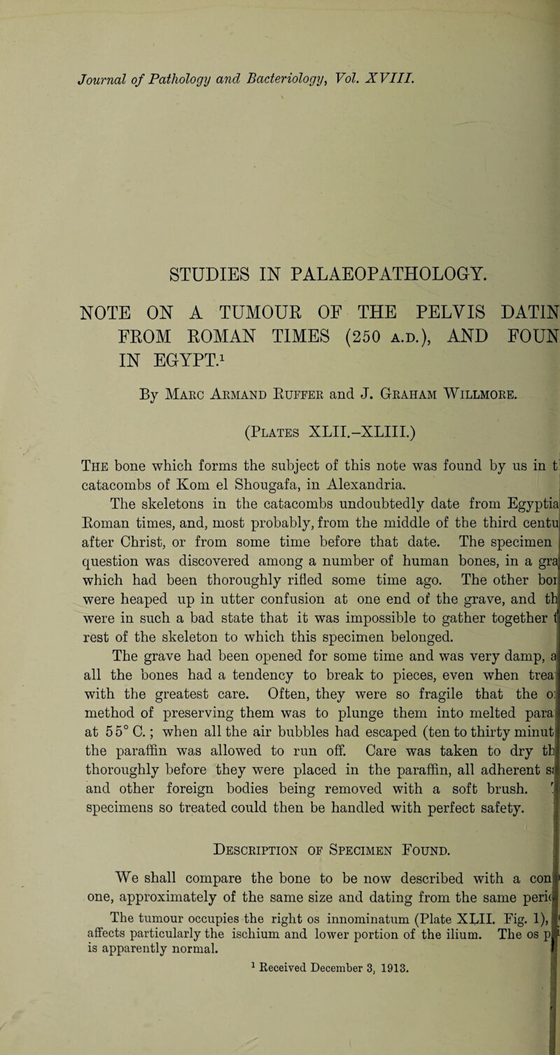 Journal of Pathology and Bacteriology, Vol. XVIII. STUDIES IN PALAEOPATHOLOGY. NOTE ON A TUMOUR OF THE PELVIS DATIN FROM ROMAN TIMES (250 a.d.), AND FOUN IN EGYPT.1 By Marc Armand Buffer and J. Graham Willmore. (Plates XLII.-XLIII.) The bone which forms the subject of this note was found by us in t' catacombs of Kom el Shougafa, in Alexandria. The skeletons in the catacombs undoubtedly date from Egyptia Boman times, and, most probably, from the middle of the third centuj after Christ, or from some time before that date. The specimen question was discovered among a number of human bones, in a gra which had been thoroughly rifled some time ago. The other bor; were heaped up in utter confusion at one end of the grave, and tb were in such a bad state that it was impossible to gather together f1 rest of the skeleton to which this specimen belonged. The grave had been opened for some time and was very damp, a all the bones had a tendency to break to pieces, even when trea with the greatest care. Often, they were so fragile that the o: method of preserving them was to plunge them into melted para: at 55° C.; when all the air bubbles had escaped (ten to thirty minut the paraffin was allowed to run off. Care was taken to dry tb thoroughly before they were placed in the paraffin, all adherent Sf and other foreign bodies being removed with a soft brush, specimens so treated could then be handled with perfect safety. Description of Specimen Found. We shall compare the bone to be now described with a cont> one, approximately of the same size and dating from the same pericl The tumour occupies the right os innominatum (Plate XLII. Fig. 1), |( affects particularly the ischium and lower portion of the ilium. The os p® is apparently normal. 1 ' 1 Received December 3, 1913.