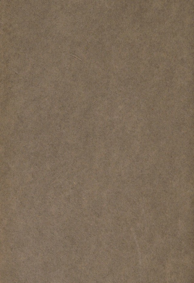 digitised image 2