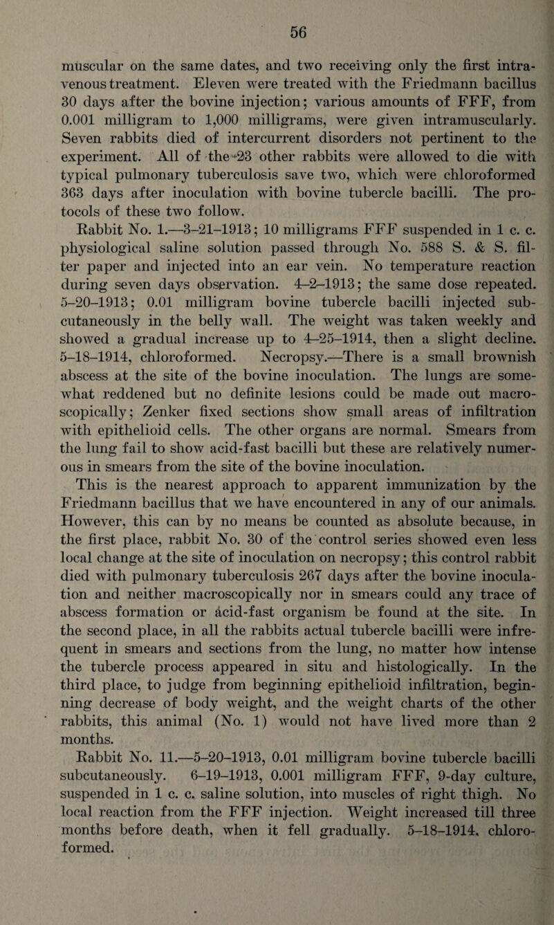 muscular on the same dates, and two receiving only the first intra¬ venous treatment. Eleven were treated with the Friedmann bacillus 30 days after the bovine injection; various amounts of FFF, from 0.001 milligram to 1,000 milligrams, were given intramuscularly. Seven rabbits died of intercurrent disorders not pertinent to the experiment. All of the *23 other rabbits were allowed to die with typical pulmonary tuberculosis save two, which were chloroformed 363 days after inoculation with bovine tubercle bacilli. The pro¬ tocols of these two follow. Rabbit No. 1.—3-21-1913; 10 milligrams FFF suspended in 1 c. c. physiological saline solution passed through No. 588 S. & S. fil¬ ter paper and injected into an ear vein. No temperature reaction during seven days observation. 4-2-1913; the same dose repeated. 5-20-1913; 0.01 milligram bovine tubercle bacilli injected sub¬ cutaneously in the belly wall. The weight was taken weekly and showed a gradual increase up to 4-25-1914, then a slight decline. 5-18-1914, chloroformed. Necropsy.—There is a small brownish abscess at the site of the bovine inoculation. The lungs are some¬ what reddened but no definite lesions could be made out macro- scopically; Zenker fixed sections show small areas of infiltration with epithelioid cells. The other organs are normal. Smears from the lung fail to show acid-fast bacilli but these are relatively numer¬ ous in smears from the site of the bovine inoculation. This is the nearest approach to apparent immunization by the Friedmann bacillus that we have encountered in any of our animals. However, this can by no means be counted as absolute because, in the first place, rabbit No. 30 of the control series showed even less local change at the site of inoculation on necropsy; this control rabbit died with pulmonary tuberculosis 267 days after the bovine inocula¬ tion and neither macroscopically nor in smears could any trace of abscess formation or acid-fast organism be found at the site. In the second place, in all the rabbits actual tubercle bacilli were infre¬ quent in smears and sections from the lung, no matter how intense the tubercle process appeared in situ and histologically. In the third place, to judge from beginning epithelioid infiltration, begin¬ ning decrease of body weight, and the weight charts of the other rabbits, this animal (No. 1) would not have lived more than 2 months. Rabbit No. 11.—5-20-1913, 0.01 milligram bovine tubercle bacilli subcutaneously. 6-19-1913, 0.001 milligram FFF, 9-day culture, suspended in 1 c. c. saline solution, into muscles of right thigh. No local reaction from the FFF injection. Weight increased till three months before death, when it fell gradually. 5-18-1914, chloro¬ formed.