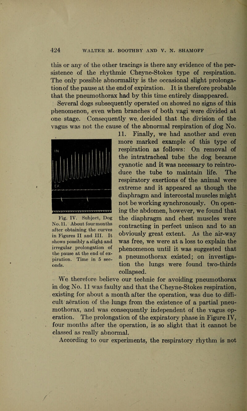 this or any of the other tracings is there any evidence of the per¬ sistence of the rhythmic Cheyne-Stokes type of respiration. The only possible abnormality is the occasional slight prolonga- tion of the pause at the end of expiration. It is therefore probable that the pneumothorax had by this time entirely disappeared. ! Several dogs subsequently operated on showed no signs of this phenomenon, even when branches of both vagi were divided at one stage. Consequently we. decided that the division of the vagus was not the cause of the abnormal respiration of dog No. 11. Finally, we had another and even more marked example of this type of respiration as follows: On removal of the intratracheal tube the dog became cyanotic and it was necessary to reintro¬ duce the tube to maintain life. The respiratory exertions of the animal were extreme and it appeared as though the diaphragm and intercostal muscles might not be working synchronously. On open¬ ing the abdomen, however, we found that the diaphragm and chest muscles were contracting in perfect unison and to an obviously great extent. As the air-way was free, we were at a loss to explain the phenomenon until it was suggested that a pneumothorax existed; on investiga¬ tion the lungs were found two-thirds collapsed. We therefore believe our technic for avoiding pneumothorax in dog No. 11 was faulty and that the Cheyne-Stokes respiration, existing for about a month after the operation, was due to diffi¬ cult aeration of the lungs from the existence of a partial pneu¬ mothorax, and was consequently independent of the vagus op¬ eration. The prolongation of the expiratory phase in Figure IV, four months after the operation, is so slight that it cannot be classed as really abnormal. According to our experiments, the respiratory rhythm is not » Fig. IV. Subject, Dog No. 11. About four months after obtaining the curves in Figures II and III. It shows possibly a slight and irregular prolongation of the pause at the end of ex¬ piration. Time in 5 sec-