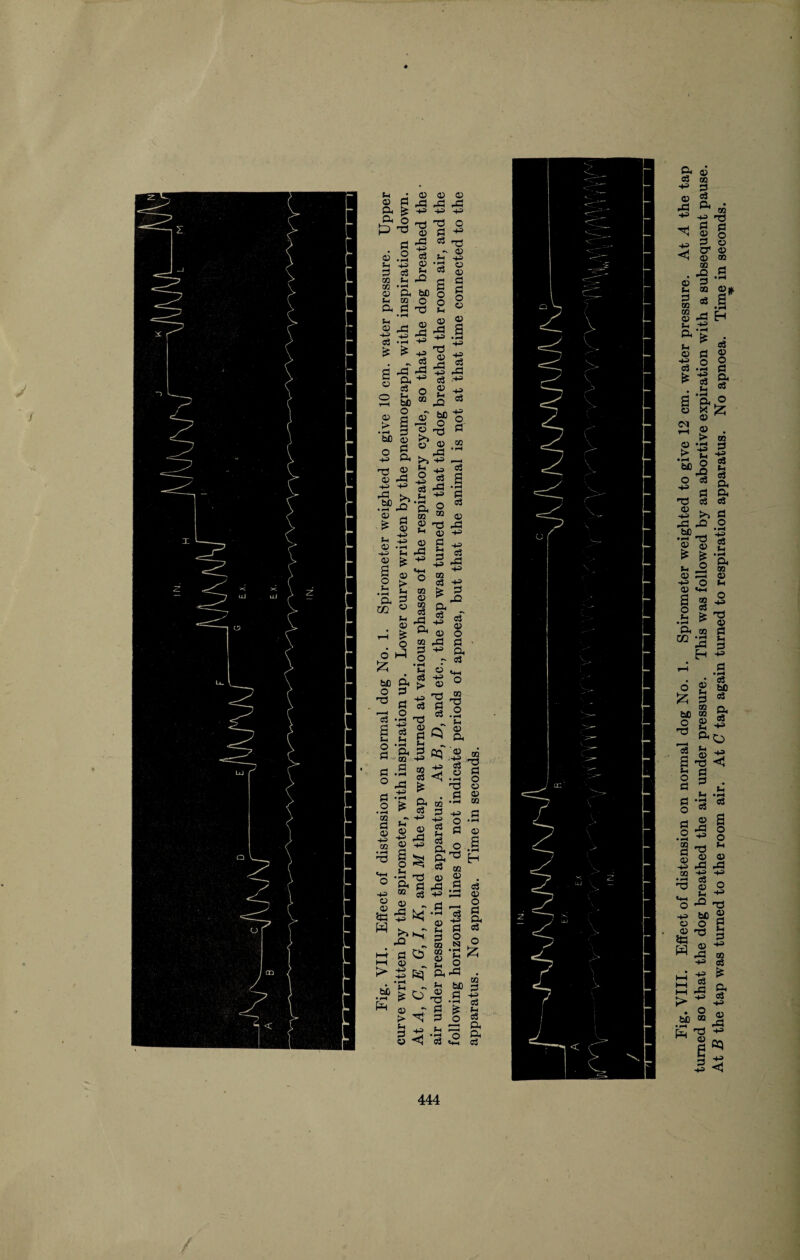 f oj <u a? ^3 ^3 ^3 += -4-3 •+= bb o bfi o3 Q •s 05 Dn co o &< to Fig. VIII. Effect of distension on normal dog No. 1. Spirometer weighted to give 12 cm. water pressure. At A the tap turned so that the dog breathed the air under pressure. This was followed by an abortive expiration with a subsequent pause. At B the tap was turned to the room air. At C tap again turned to respiration apparatus. No apnoea. Time in seconds.