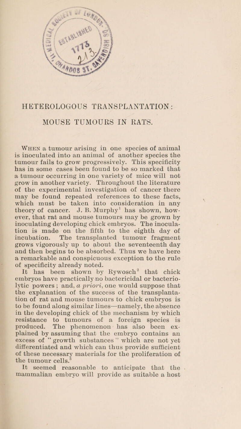 HETEROLOGOUS TRANSPLANTATION: MOUSE TUMOURS IN RATS. When a tumour arising in one species of animal is inoculated into an animal of another species the tumour fails to grow progressively. This specificity has in some cases been found to be so marked that a tumour occurring in one variety of mice will not grow in another variety. Throughout the literature of the experimental investigation of cancer there may be found repeated references to these facts, which must be taken into consideration in any theory of cancer. J. B. Murphy1 has shown, how¬ ever, that rat and mouse tumours may be grown by inoculating developing chick embryos. The inocula¬ tion is made on the fifth to the eighth day of incubation. The transplanted tumour fragment grows vigorously up to about the seventeenth day and then begins to be absorbed. Thus we have here a remarkable and conspicuous exception to the rule of specificity already noted. It has been shown by RywosclU that chick embryos have practically no bactericidal or bacterio¬ lytic powers ; and, a priori, one would suppose that the explanation of the success of the transplanta¬ tion of rat and mouse tumours to chick embryos is to be found along similar lines—namely, the absence in the developing chick of the mechanism by which resistance to tumours of a foreign species is produced. The phenomenon has also been ex¬ plained by assuming that the embryo contains an excess of “ growth substances ” which are not yet differentiated and which can thus provide sufficient of these necessary materials for the proliferation of the tumour cells. It seemed reasonable to anticipate that the . mammalian embryo will provide as suitable a host