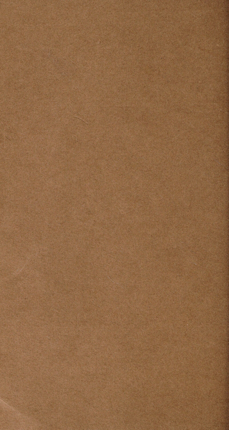 ‘f: <>/' ' ii''.' W-A'P’’ •.•*’**-~X -. • >' 53»i3'.‘**«•'•''•;■£■ .<• ’.f•'• •• A .-•/a'-*.'• V-v- asgfe ' . ‘ . - ■-• •' ’ ■■■ ■. '■,- ■, - - • v ; ’ . -'/ ■•- -• •■ • ./ ■ • ••• - •-■ ■■; ■ V - •• • -• ■■ '■ ;f ? *^J»s ■ . . . - ' ’ , ■ : ■■• ' ■ ;•' - '•■■■.-■; A; - - . * U: tf ' ■ -■ '■ ■ -Ui • .■■■:  ■ ■■■ . A2A V; ;V; *-rc«>V-v ...4,,w JR . r£33*>. •'- ■' V•i-«CbM- ; ... . s> '■.>. H-}: ■ : ■ ■ ' . . s' • -• A i?. - ; f,yr ~ ' . ■ v,s ; •.:; m • i * * ■■ 1. A-V v . * ■ ■, > •; • ■ ■ . - - - . :•'-■■■ v ■ • ti- ■ . ImS$ ' P ■ - ■ ■ - . -■ - • ■. ■ • *-■ • .... • • . ' •• • - ■ . >-V- -P ;■ . .. life ■■ ■'. :r ' Mm Up !^»5S ->k:- ,- ../v !>• .-V.*> •- V,;-,: •>'’ * h - ' . ■ - >\ ;i'- .v *. - ---•• • - . ;.-r 1 j- i'’ •' V . . '•A. -.-■■•.-■ -V: • . ... .-V.. • :«A . V - WSIS; s ~ ■ V ... ...V- .> '. ■.- A • . •- r •. ' '-A 1 V ; ■. A.J-^ -A, - * ^ - -A?a a;:A .=• t :■;■'■ ' , • r.v - >'s-,.-v ‘ A^vrV'v: ^- s -- ■ :fs ’ '  'AW ,;v.V A-v-V* ' ' '-i, ! v '•- : - . -...-• *:• ' • -- -‘A, .• A.... v»-.- C. ».•<- ; V ' 'A-' :?■ :-:Vv ■ A- A'. •; ■ . ./ V. .• /-• A .-A . ,.v - ....^ ' A.A ’’'A'1 • f.-- •.' . V - -•■ > .;?••>rf t>»v> *' a av. . ^ ;. A: A.:.•A -s/ A V- A-A*:<VA. - • - ; ' • ■ •• - v: : - A'- A - -''7..V1 :. rv‘:Avl*&&>:<*.;'• ^/:• - : •- •p-■> ' ?'■- '-A *■*:• -V •