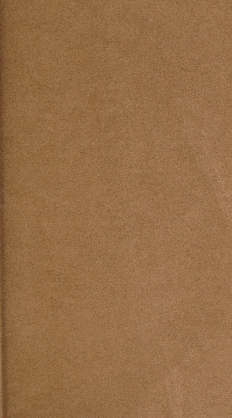 ■ .. •;' /#.-» if i ■- , . . f* v.• - > • t. ■. ,o. • •- >->< 4i. :•> ' ' i‘K • -W.v '5' X;-:. '■? • •' v. ' ' 'y.*‘ > •* . ^.'s - . . . ; . • • ; ... I* . v' - - • • ' >v •' v • . • - 7 • . . v