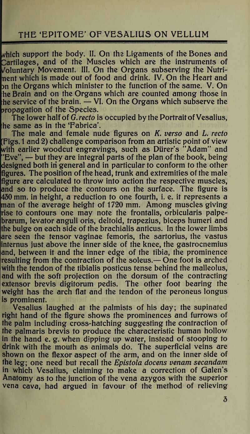 Arhich support the body. II. On the Ligaments of the Bones and Cartilages, and of the Muscles which are the instruments of Voluntary Movement. III. On the Organs subserving the Nutri- nent which is made out of food and drink. IV. On the Heart and :>n the Organs which minister to the function of the same. V. On he Brain and on the Organs which are counted among those in [he service of the brain. — VI. On the Organs which subserve the propagation of the Species. The lower half of G. recto is occupied by the Portrait of Vesalius, he same as in the ‘Fabrica’. The male and female nude figures on K. verso and L. recto [Figs. 1 and 2) challenge comparison from an artistic point of view with earlier woodcut engravings, such as Diirer’s ’’Adam” and ”Eve”, — but they are integral parts of the plan of the book, being designed both in general and in particular to conform to the other figures. The position of the head, trunk and extremities of the male figure are calculated to throw into action the respective muscles, and so to produce the contours on the surface. The figure is 450 mm. in height, a reduction to one fourth, i. e. it represents a man of the average height of 1720 mm. Among muscles giving rise to contours one may note the frontalis, orbicularis palpe¬ brarum, levator anguli oris, deltoid, trapezius, biceps humeri and the bulge on each side of the brachialis anticus. In the lower limbs lare seen the tensor vaginae femoris, the sartorius, the vastus internus just above the inner side of the knee, the gastrocnemius and, between it and the inner edge of the tibia, the prominence resulting from the contraction of the soleus.— One foot is arched with the tendon of the tibialis posticus tense behind the malleolus, and with the soft projection on the dorsum of the contracting extensor brevis digitorum pedis. The other foot bearing the weight has the arch flat and the tendon of the peroneus longus is prominent. Vesalius laughed at the palmists of his day; the supinated right hand of the figure shows the prominences and furrows of the palm including cross-hatching suggesting the contraction of the palmaris brevis to produce the characteristic human hollow in the hand e. g. when dipping up water, instead of stooping to drink with the mouth as animals do. The superficial veins are shown on the flexor aspect of the arm, and on the inner side of the leg; one need but recall the Epistola doceris venam secandam in which Vesalius, claiming to make a correction of Galen’s Anatomy as to the junction of the vena azygos with the superior vena cava, had argued in favour of the method of relieving