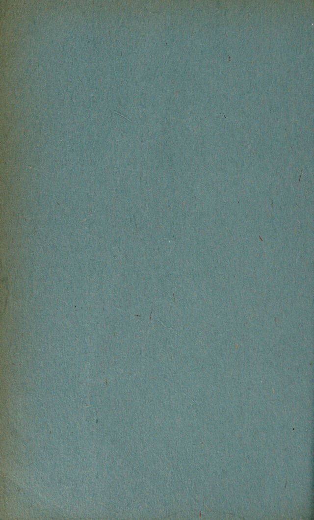 digitised image 2