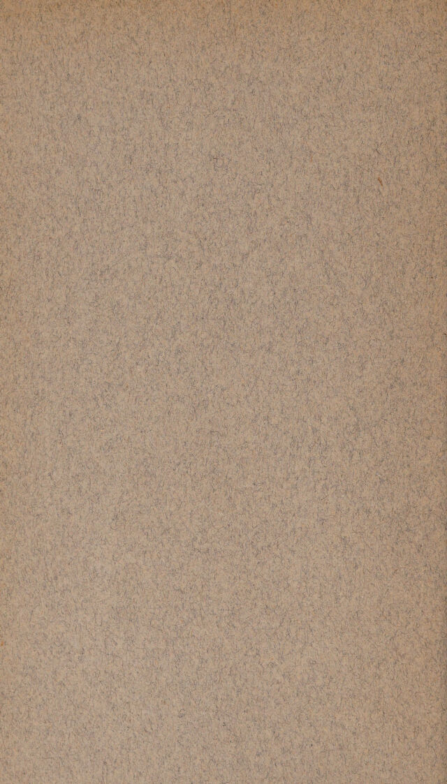 digitised image 2