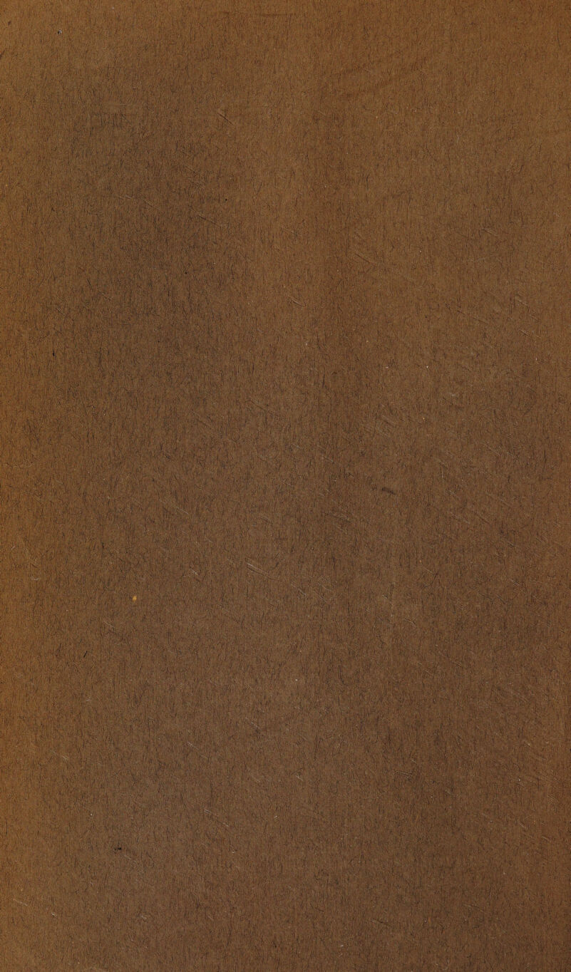 :iyv ' V ■ aVdVdddad avd ■ V/ ,h\. .y, , ■ ■ X,V- (/fe. trf-'j, dVd-iv-dd *1 , fad. 4 I A .' ■/... idfedd :Vd, i;S-Fr -,VS5»# Viilliq «ISil ■ . ■ ISStl® i;Si|HSfil ■ : . . a ^ a ■ ' V : S ' . . : l. : v ,,biw:TO4;>r&^i. V;V '•■ 1 >■ • .’::£?:•'4• • V\>tkd'f.i ! • •' .-!,. • 1 ■ \v;- j . ;■ >,■adiih I --Vv' 'i t /te Um n'  ■; id ; ■ ■■ ' . , , a, ad ; : ,:A ■ ■'■A '■■/l-..:. da , '  j l,< ddi'n>' aa> !■• / , . ' I A/.. !'.:•> , rfi . ' f#: I ^ . : I I i . : k * I 1 : ■ d . - a - ' dd ' ’ - ■ : da -- d \ ■ > ad - S : d ■ d -s m ' a , m a : . - * i ■ : i - m. fflwtlMmemj ■ a-.. H a l . I • .; a n . a-a ■ '•• . • ■■ ; a d:;a. te.-ate a. ■>-add'; ■■: ■* !h'’[ % ■:}< i ’ a1' a d a-’ dddSd.d- ‘'>>: ■ d'ajn tte#tete\ateddH dv did xi*da4dd|;d tete'd *r idd; > - ■ d, a: a.T: ■'■. dd d ■ra ada-aa-a van avaa m i w&, : mm ; a adSa'd w' ^ ' »-a; a.;. 4ga a . :. :,a:,,: iMAmVAW^SXA: i . - a ' a( mr jit f ; ;',a v:f ; di' ’-a ’fd ■•/ a 'V,i';a:a' a<. dvvd va'd d'iad d dd? :a' aataar.aadd S d d Ipda&a, da d .. Vd> i ’ a ! ■ a,Jd ■'■'dad.y;-'a,, a i( d',. ; v . , ■ » '■ y ted1 ?tesd ■ : 9& ■ ? da' a a . j J| ■ fISiil ■ .idi YmH m ■■-«& -4:^ddtevki'dd 0'-V kh* ,:iu < A.kr,j ■, ■ .■■ ViiiMv vdv - Vi'.a ■ . -;i...; :1,.,. ; .di.a --' /add dad* id ifteted di ■ . , ,vd a a d;dd;a- av , '-a ,a ;;a i.:' ad ’/ V''v:dd'ai'i,''(;|vdd',dvadav dfefv> j:-/A -i ■ '-’‘■HiA d ■-■:■■ ••aad\a-ii..vv,/:>apv.--v /adad,a-av d,d : va-; • •.v da (V add • ad ... .. ? .'V.-;'i ' • va ;■ a d ■ • V iJ r ' ,/i'd ' .  , dv aidy aavv * d vd feA'd-adMv4', '-/%< || ' a '  a d.: ,v / avdte da|/adva. M'te^'dte'jdadd-vda^ ;■ diateMf ' d .  '■ '.' .. ' dd!%.Ma • ,d V ■: .'dvdatddd Vv vd ' Id' a., a ^ da .... f i a'v - ■ ; 4''da;dd:-V dddaaa.d-; '^'1 Wil a.-d S '  f: ' !/ ■ ' ■' R .' a-ai;'.dd.,;it!a;,;.d. *d,v. . f ■ < d . da' ,V.a;V'5dteVa./.', ... a .a' d .dd a?. a ; m Y‘iy~S- '’ ■ d'd. d. ■.d ■ 4 . V '•• dr, Vda ;dVa(nddd^teia{ d'd1. vv 'k;daa addai •Uj* a :,a •'.'■• >; . rL -4 ■■ .. : {it: -J r •* .'.MV te'd- d,4;-a.V. a' 'd;d: