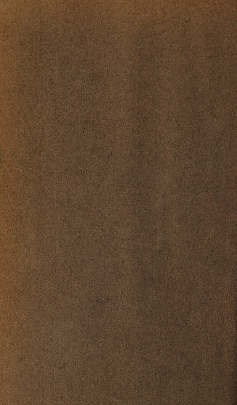 lit K:KK W<\'V ' K; ■ V.^v. Rfe . ■ '■ • \'' .’ ■■ .•■■, > i ':'r i;/ '■• ;■; . a , : 'V y>yyyyy^y:,yx ' .a .■■■”■'.;':i'j: alia vi . ,v. : ffmWM '■ ■ - ■ v r •V • k/v/- :;-' V- ••':'•? •;-'j '/&. ' ... X:'*y*r-zK\-'r‘-t - iiv ••*'• ••<■•• .*•.«• •,•■•• .. ;*•!“’•-*>', ^p;p',;Av; *V:-4:v'AJa^; £ j Sim ■ !ii: :Kh:*'* l-;.1:•; !• J ? ' I •.,'*■• ,-:».• -.’ - ’. • ' ■'•' ' •> • >: i •.•.>* : .  . . \ f;S * J k* . ■■.'•■•.: •', :'.-i • „■ ' V ■$w:4 ■ •*• - -J.-jf? <».v•..<« • , e^gaHHVI IP f>v .,,■■■■; 1 -a,. .-; > .:-.;.w;yy .-, jr, ,.■ ' , * ! , '■ !,■; . ^ , ;. ' v , ya,.,v i.. .mm®0' •.im .. ' •.'•■■.■ : ■ - v - • ■ ■■ .-r ■ ‘K ,. KY\*'jK V,2vM ^ Kr -^'K,KK'■];■■<- /. , y.f4;,: ; ■’/^i-K-K'K •/. ■ -yv- 1 ■■-.y .y ■'■... ■■■.: ■ ' •' ' ■ ' .:'■ :7 :■■ • - ■ V ' ' f :• K^?:'K ;;: ,'K vi: <sy‘ ■ *?*;; l,‘' -M, KKt’ KK0%$%^ l j';{P‘ I ■ -K'Kvr* y: %'■ mt-m isS *:Kf Kt • . : •■V.. •••. «sj* v ' A«. I- '‘■I® ■'.•KfKikk, ;y>& 'SWwiwW 1 :kf .;' ^'v- ' .yV ' i >*■ '' KK IImIS T^'^^KKK'KKvh/  mr.„J ^ KwKt'wfijfjt ■i\> ..; . -i ;l V ' >; ■> ■,■;' •' S® s ■ - <v ■•,. >■ m . ■ .■/ •'■'■: ■-', . .. ■'. 1 \ , S-: . ■' '■. ■ V- ’ :fe:y ■i; ■/?■■&: X ;-.• I ..- V ... al ■ ■ : ''. ■■it- (Wi ;..: y-. ••'E \--K, -■ yyy.v;;. .),u. 1 • MKmMKK || i. ..... .. .'.i. .yjaaftwHag^-^M^ ■ \X'V. v.'i : -'>« ■ <v4: •>-■'•- . yf - . i y . ••• ■ ' ■ (’•;’* '4- ■: ;-!k' .. . /.'.->■■■: '.. ■■■.7 ; >■■■ . >.. '■/ ..-SSif •/•V. ..'f ■s ,z'!-> ?v‘ - ft' mV /a »V l •% '■iPfwf r4 , -*u ‘ 9-V; • IM i-<-r • ’• £Hifae:$kx’;yyyjflyyyty'yvy &■*aM&z ' yh v,; .■ • s'f'y'Kyyy^Ks&i^^Ssi^:y\; ■' y&£§.. '• y«/-y-;y:. .:.■■■ - ■ 'K; ■ ■M'V!j*y' ■,■....' ' ■' , •'■ ■: ' ^ - . : . W . . .:i*>t ,.,1'V - ■ -■•.,. -•• ■•■ i.- V. ^ysmmxvmmy.. & ill ■ 51 ami , : . . . ivxXi.-:V:S«■: : .■»,>:.? . /. ■ ..«a ...■':.. .y>,,.‘■ . :v. s>i? > ■ : ....'■■ ■ ■■ - < ;y.'-..:4'yv(.' .. .. ..... . .. ; ma . ■ }j*’m.' wy':.' - - .■ liiMm - i- \ yMtmPim liffit? m '’..'.yrnSr..', a ■ :y W^Ww»fiWISS«TO?