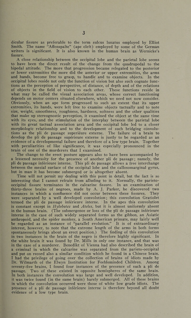 dicular fissure as preferable to the term sulcus lunatus employed by Elliot Smith. The name “Affenspalte” (ape cleft) employed by some of the German writers is significant. It is also known in the human brain as Wernicke’s fissure. A close relationship between the occipital lobe and the parietal lobe seems to have been the direct result of the change from the quadrupedal to the bipedal attitude. The more that progression became relegated to the posterior or lower extremities the more did the anterior or upper extremities, the arms and hands, become free to grasp, to handle and to examine objects. In the occipital lobes reside not only the function of vision but also such cognate func¬ tions as the perception of perspective, of distance, of depth and of the relations of objects in the field of vision to each other. These functions reside in what may be called the visual association areas, whose correct functioning depends on motor centers situated elsewhere, which we need not now consider. Obviously, when an ape form progressed to such an extent that its upper extremities, its hands, were left free to examine objects tactually and to note size, weight, smoothness, roughness, hardness, softness and the other qualities that make up stereognostic perception, it examined the object at the same time with its eyes, and the stimulation of the interplay between the parietal lobe with its great tactual association area and the occipital lobe led to a closer morphtdogic relationship and to the development of such bridging convolu¬ tions as the pli de passage superieure externe. The failure of a brain to develop the pli de passage superieure externe is justly to be regarded as an evidence of a developmental failure and therefore of a low type brain. Together with peculiarities of like significance, it was especially pronounced in the brain of one of the murderers that I examined. The change to the erect posture appears also to have been accompanied by a lessened necessity for the presence of another pli de passage; namely, the pli de passage inferieure interne. This pli de passage allows a free interchange between the mesial surface of the occipital lobe and the callosomarginal gyrus, but in man it has become submerged or is altogether absent. Time will not permit my dealing with this point in detail, but the fact is so interesting that I cannot refrain from alluding to it. Normally, the parieto¬ occipital fissure terminates in the calcarine fissure. In an examination of thirty-three brains of negroes, made by A. J. Parker, he discovered two instances in which a confluence did not occur between these fissures. They were separated by a well developed convolution; this convolution Gratiolet termed the pli de passage inferieure interne. In the apes this convolution is constant except in Hylobates and Ateles, but it is almost uniformly absent in the human brain. (The submergence or loss of the pli de passage inferieure interne in the case of such widely separated forms as the gibbon, an Asiatic anthropoid, and the spider monkey, a South American primate, may fairly well be regarded as an instance of “parallel evolution.” It is of extraordinary interest, however, to note that the extreme length of the arms in both forms spontaneously brings about an erect position.) The finding of this convolution in two instances in the brain of the negro is therefore highly significant. In the white brain it was found by Dr. Mills in only one instance, and that was in the case of a murderer. Benedikt of Vienna had also described the brain of a criminal in which the calcarine was separated from the parieto-occipital and put on record also a similar condition which he found in a Chinese brain. I had the privilege of going over the collection of brains of idiots made by Dr. Wilmarth of the Elwyn Institution for Feebleminded Children. Among seventy-five brains, I found four instances of the presence of such a pli de passage. Two of these existed in opposite hemispheres of the same brain. In both instances the convolution was large and well developed. In addition, it was twice found (in the same brain) barely submerged. All of these brains in which the convolution occurred were those of white low grade idiots. The presence of a pli de passage inferieure interne is therefore beyond all doubt evidence of a low type brain.