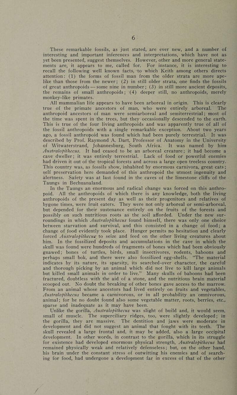 These remarkable fossils, as just stated, are ever new, and a number of interesting and important inferences and interpretations, which have not as yet been presented, suggest themselves. However, other and more general state¬ ments are, it appears to me, called for. For instance, it is interesting to recall the following well known facts, to which Keith among others directs attention: (1) the forms of fossil man from the older strata are more ape¬ like than those from the newer; (2) in still older strata, one finds the fossils of great anthropoids — some nine in number; (3) in still more ancient deposits, the remains of small anthropoids; (4) deeper still, no anthropoids, merely monkey-like primates. All mammalian life appears to have been arboreal in origin. This is clearly true of the primate ancestors of man, who were entirely arboreal. The anthropoid ancestors of man were semiarboreal and semiterrestrial; most of the time was spent in the trees, but they occasionally descended to the earth. This is true of the four living anthropoids and was apparently true of all of the fossil anthropoids with a single remarkable exception. About two years ago, a fossil anthropoid was found which had been purely terrestrial. It was described by Prof. Raymond A. Dart, Professor of Anatomy in the University of Witwaterstrand, Johannesburg, South Africa. It was named by him Australopithecus. It had ceased to be an arboreal creature; it had become a cave dweller; it was entirely terrestrial. Lack of food or powerful enemies had driven it out of the tropical forests and across a large open treeless country. This country was, as fossils show, inhabited by enormous carnivora, great cats ; self preservation here demanded of this anthropoid the utmost ingenuity and alertness. Safety was at last found in the caves of the limestone cliffs of the Taungs in Bechuanaland. In the Taungs an enormous and radical change was forced on this anthro¬ poid. All the anthropoids of which there is any knowledge, both the living anthropoids of the present day as well as their progenitors and relatives of bygone times, were fruit eaters. They were not only arboreal or semi-arboreal, but depended for their sustenance entirely on the fruits of the forests and possibly on such nutritious roots as the soil afforded. Under the new sur¬ roundings in which Australopithecus found himself, there was only one choice between starvation and survival, and this consisted in a change of food; a change of food evidently took place. Hunger permits no hesitation and clearly forced Australopithecus to seize and feed on the other living creatures about him. In the fossilized deposits and accumulations in the cave in which the skull was found were hundreds of fragments of bones which had been obviously gnawed; bones of turtles, birds, small insectivores, rodents, baboons and perhaps small bok, and there were also fossilized egg-shells. “The material indicates by its nature, its sparsity, its searched-over character, the careful and thorough picking by an animal which did not live to kill large animals but killed small animals in order to live.” Many skulls of baboons had been fractured, doubtless with the aid of a stone, and the nutritious brain material scooped out. No doubt the breaking of other bones gave access to the marrow. From an animal whose ancestors had lived entirely on fruits and vegetables, Australopithecus became a carnivorous, or in all probability an omnivorous, animal; for he no doubt found also some vegetable matter, roots, berries, etc., sparse and inadequate as it may have been. Unlike the gorilla, Australopithecus was slight of build and, it would seem, small of muscle. The superciliary ridges, too, were slightly developed; in the gorilla, they are massive. The dentition and jaws were moderate in development and did not suggest an animal that fought with its teeth. The skull revealed a large frontal and, it may be added, also a large occipital development. In other words, in contrast to the gorilla, which in its struggle for existence had developed enormous physical strength, Australopithecus had remained physically weak and relatively defenseless; but, on the other hand, his brain under the constant stress of outwitting his enemies and of search¬ ing for food, had undergone a development far in excess of that of the other /