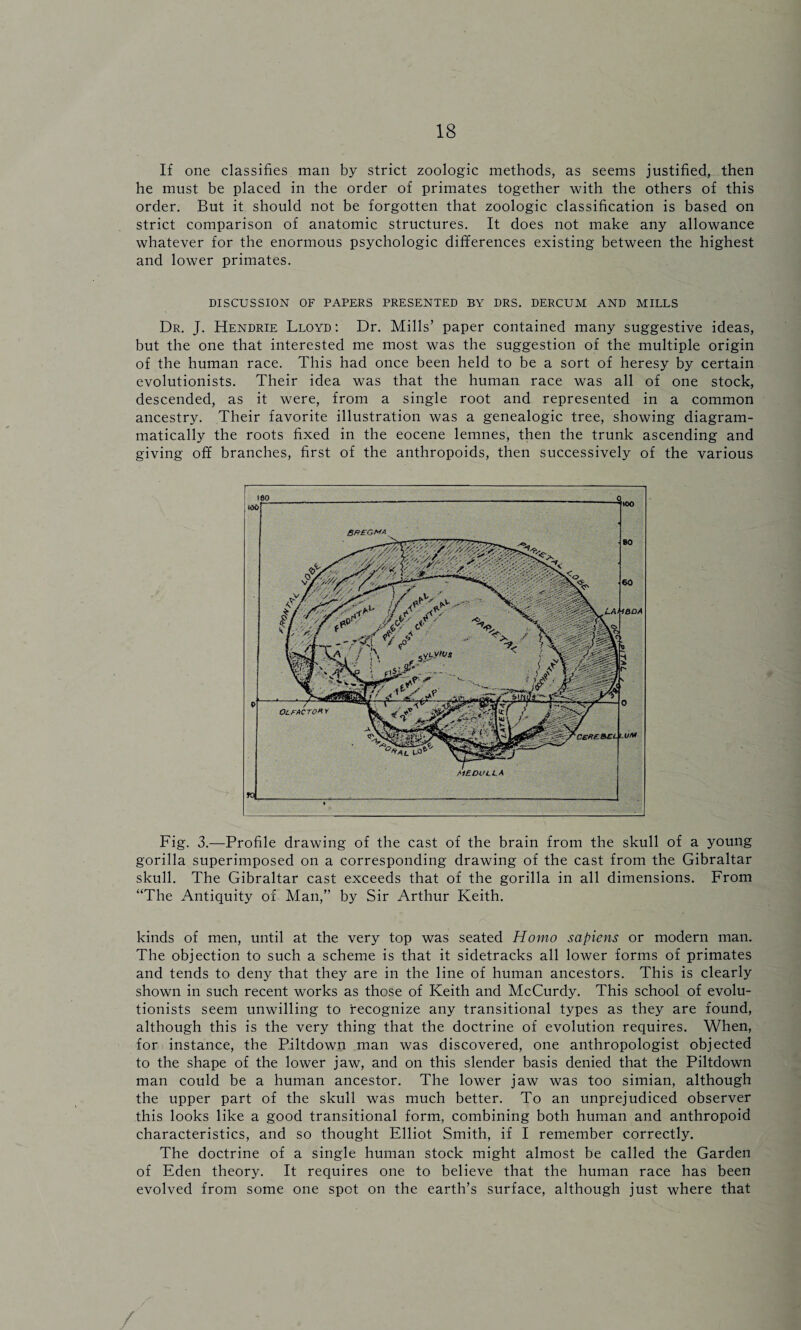 If one classifies man by strict zoologic methods, as seems justified, then he must be placed in the order of primates together with the others of this order. But it should not be forgotten that zoologic classification is based on strict comparison of anatomic structures. It does not make any allowance whatever for the enormous psychologic differences existing between the highest and lower primates. DISCUSSION OF PAPERS PRESENTED BY DRS. DERCUM AND MILLS Dr. J. Hendrie Lloyd : Dr. Mills’ paper contained many suggestive ideas, but the one that interested me most was the suggestion of the multiple origin of the human race. This had once been held to be a sort of heresy by certain evolutionists. Their idea was that the human race was all of one stock, descended, as it were, from a single root and represented in a common ancestry. Their favorite illustration was a genealogic tree, showing diagram- matically the roots fixed in the eocene lemnes, then the trunk ascending and giving off branches, first of the anthropoids, then successively of the various Fig. 3.—Profile drawing of the cast of the brain from the skull of a young gorilla superimposed on a corresponding drawing of the cast from the Gibraltar skull. The Gibraltar cast exceeds that of the gorilla in all dimensions. From “The Antiquity of Man,” by Sir Arthur Keith. kinds of men, until at the very top was seated Homo sapiens or modern man. The objection to such a scheme is that it sidetracks all lower forms of primates and tends to deny that they are in the line of human ancestors. This is clearly shown in such recent works as those of Keith and McCurdy. This school of evolu¬ tionists seem unwilling to recognize any transitional types as they are found, although this is the very thing that the doctrine of evolution requires. When, for instance, the Piltdown man was discovered, one anthropologist objected to the shape of the lower jaw, and on this slender basis denied that the Piltdown man could be a human ancestor. The lower jaw was too simian, although the upper part of the skull was much better. To an unprejudiced observer this looks like a good transitional form, combining both human and anthropoid characteristics, and so thought Elliot Smith, if I remember correctly. The doctrine of a single human stock might almost be called the Garden of Eden theory. It requires one to believe that the human race has been evolved from some one spot on the earth’s surface, although just where that /