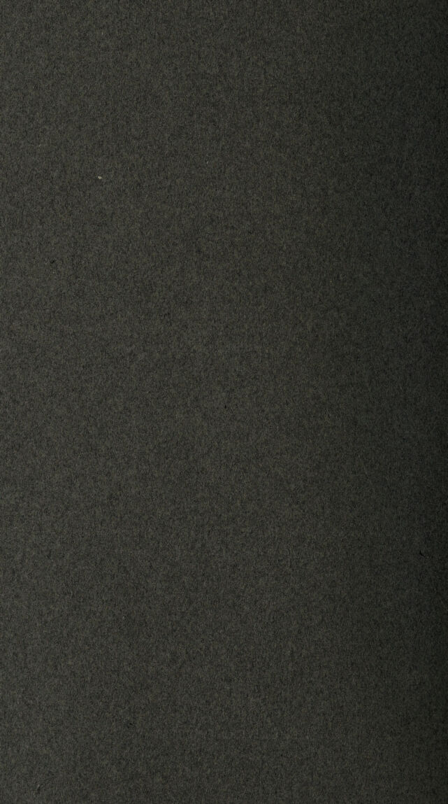 digitised image 2