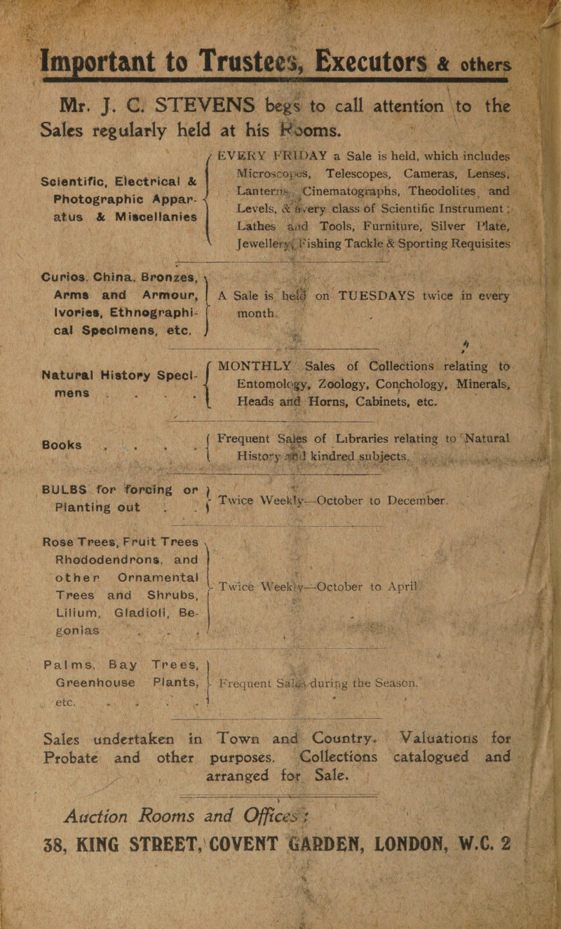              ‘Scientific, Electrical &amp; | : Photographic Appar- ‘ wea hie Miscellanies — - Curios, China, Bronzes, tn iui m Arms and “Armour, ) ‘Ivories, Ethnographi- ne a cal Specimens, etc. Ha                “Natural History s ecl- ae co a Ree mens ney r eee | abs wits ology, Conchotogy, § \e De ai Eas ; and Horns, coc ainearty etc. 4 ; ay an Paaonine out” Wy October to December: Rose Trees, Fruit Trees | - Rhododendrons, and — “other ‘Ornamental ; Trees and Shrubs, Lilium, -Gladioti, Be. (Bene PS ee a, Palms, Bay Trees, | Greenhouse | Plants, tr, etc. ; we i y ° c a «        3 b. Coaeley* Walendoac . ‘alletions asa an ki 4 x { Sih Rv ; | Wegien Rica: pe Offi ces | 38, KING STREET, COVENT GARDEN, LONDON, 