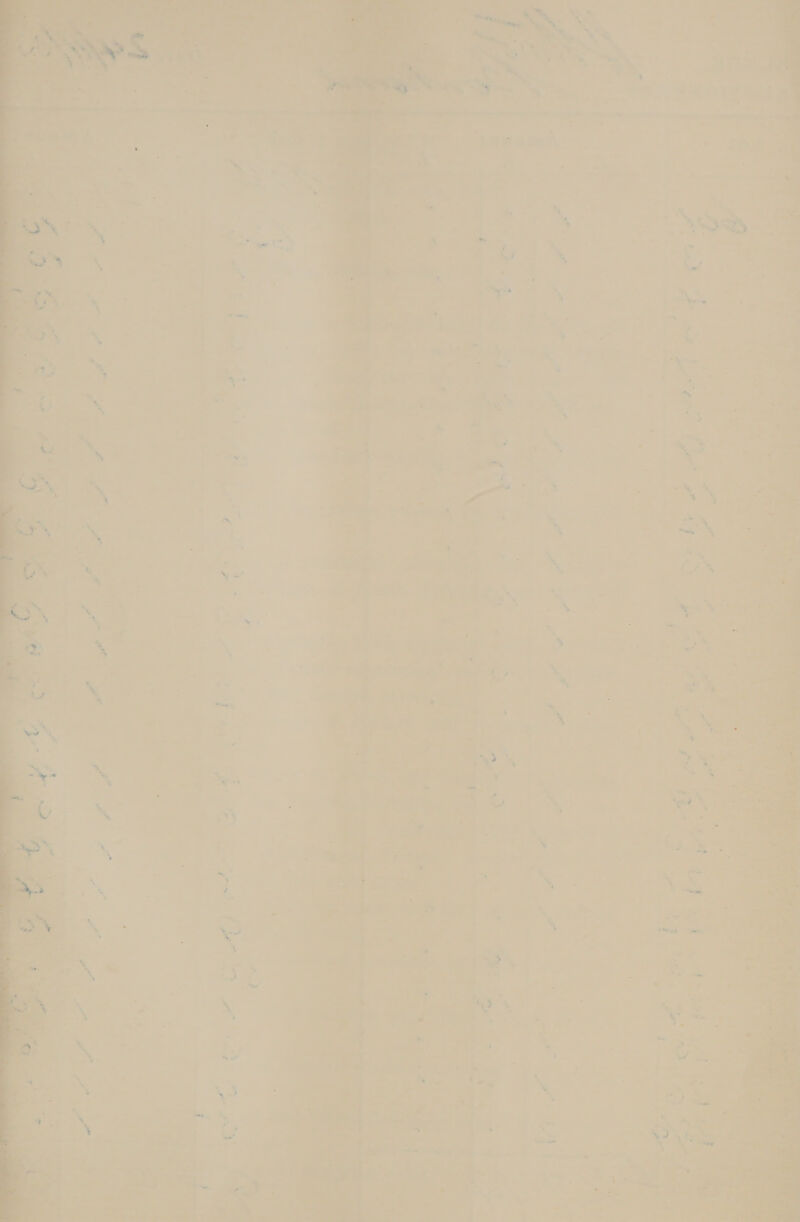    med én . . se Fy a ro i ‘a - ja 7 = oad 2 — 1 : a nf 7 - a ee Bust ae © = a  ‘ beeen eames a) - iw ’ - ; * + ¢ = a . a 4 . a oae< it Py eer) von SPS Ae aes