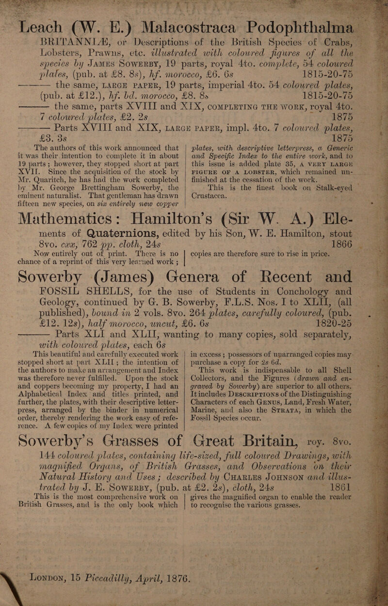   species by JAMES SoweErRBy, 19 parts, royal Ato. complete, 54 colowred plates, (pub. at £8. 85), hf. morocco, £6. 6s 1815-20-75 ——-— the same, LARGE PAPER, 19 parts, imperial 4to. 54 colowred plates, (pub. at £12.), hf. bd. morocco, £8. 8» 1815-20-75 the same, parts XVIIT and 3 XIX, COMPLETING THE WORK, royal 4to. 7 colowred plates, £2. 2s 1875 ——— Parts XVIII and XIX, Larau parr, impl. 4to.. 7 colowred plates, £3, 3s 1875 it was their intention to complete it in about | and Specific Index to the entire work, and to 19 parts ;. however, they stopped short at part | this issue is added plate 35, A VERY LARGE Mr. Quaritch, he has had the work completed | finished at the cessation of the work. eminent naturalist. That gentleman has drawn | Crustacea. i fifteen new species, on sia entirely new copper  ments of Quaternions, edited by his Son, W. H. Hamilton, stout Now eutirely out of print. There is no | copies are therefore sure to rise in price. chance of a reprint of this very learned work ; Sowerby (James) Genera of Recent and FOSSIL SHELLS, for the use of Students in Conchology and Geology, continued by G. B. Sowerby, F.L.S. Nos. Ito XLII, (all published), bound in 2 vols. 8vo0. 264 plates, carefully coloured, (pub. £12. 12s), half morocco, uncut, £6. 6s 1820-25 —— Parts XLI and XLII, wanting to many copies, sold senate, with coloured plates, each 6s This beautiful and carcfully executed work | in excess; possessors of unarranged copies may- stopped short at part XLII; the intention of | purchase a copy for 2s-6d. the authors to make an arrangement and Index This work is indispensable to all Shell  and coppers becoming my property, I had an | graved by Sowerby) are superior to all others. Alphabetical Index and titles printed, and | Itincludes Descriptions of the Distinguishing press, arranged by the binder in numerical | Marine, and also the Strata, in which the order, thereby rendering the work easy of refe- | Fossil Species occur. rence. A few copies of my Index were printed 9 e e Sowerby's Grasses of Great Britain, voy. 8vo. 144 coloured plates, containing life-sized, full coloured Drawings, with magnified Organs, of British Grasses, and Observations on thew Natural History and Uses; described by Cuartus Jounson and illus- trated by J. EH. SowERBY, (pub. at £2. 2s), cloth, 24s 21.80% This is the most comprehensive work on | gives the magnified organ to enable the reader British Grasses, and is the only book which | to recognise the various grasses.  Lonpon, 1d Piecadilly, April, 1876.   1 . - ct \ oes PVE en ee Ee ENS hela 6 ab em 3 ine ~ rx = Ss wh r aes aes FTEs habe te hme sare 3 \ Oe Nahe ri “ i 3 RRS is SRE en aE NO ee          