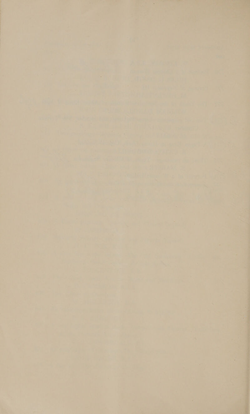                   \ cs “ ) icine! : oe ; + : a i: Ae. oe Pie aby” Wie ara Dee at, Ye AS Won = Saiz OY ee nm we ; : iar ae ) BE Ne ie | ia i‘ ee , d a e 60s &gt; =o i ae hae : ; 4 ies Fos ai - “* aed _ y . at et ews wali Id, at Zz ~ a ? = 7 : 5 at ; wt ; ae oe .* 7+ 7 ee 75 : : 4 hi ee eee i ve Ping é 2’ wy : ; ; {oat a wesulies elias Sisal : aw. i » Hy : ‘AS | , ; o ari ua : :% &gt; s : - : 7 ee J ‘ 7 “ROT a . mer . pipe ee mete re val ar p tet) &gt; ; », &amp; ae lar ea, 7 * q Vid Une a] = = 2M , Bh sy 7 5 ’ it = habeies » : + s » ’ &gt; i + , ee oe AA shee  os Phys 04 G ie our =e eS Pe ok a , eer ee ee © ; hi tod ay 4 4 ni 7 3 i a ¥ Se © nee a ' | | | ~ &gt; . - ow ft - ’ ie al % — a ye Ha zi   eee a a Veale Dee ay a » YS Moe . Pts meee = i es oe ~ er ; me aes : Fi “ o\ o = x a . . hf : a —e t - 5 a) i. TY 7) 7 ; ie og ‘* ‘% 7 &gt;! a  ; ; ? iy j on 7 a 7 % a ee - 9 j &gt; aay oe) 7 + rane | al eae  «@ bd ( - oF 7” r “&gt; a » 2 7 7 Aa ie a) (re : yas ae , ’ a 