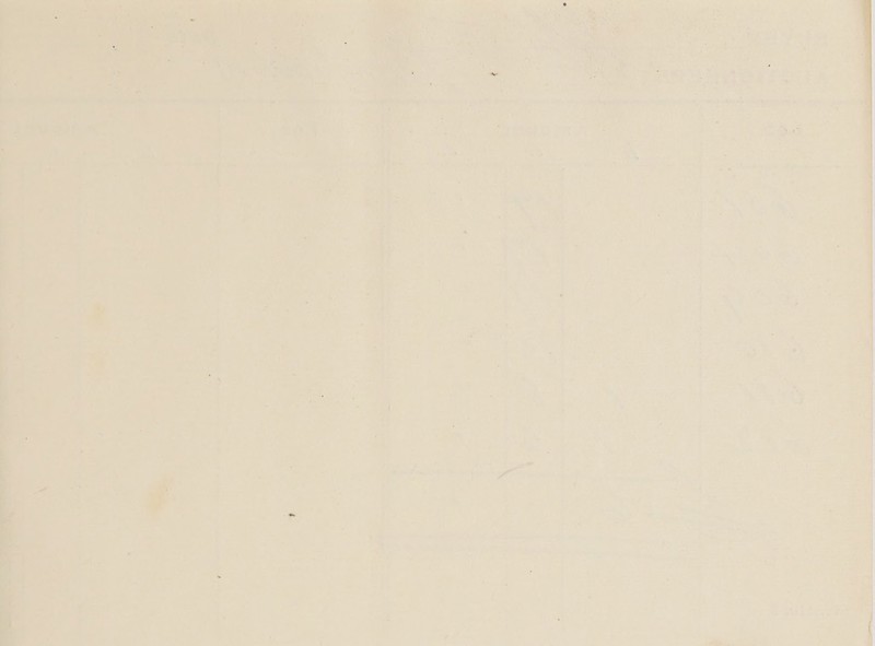 Digitized by the Internet Archive in 2021 with funding from Wellcome Library https://archive.org/details/o30858732