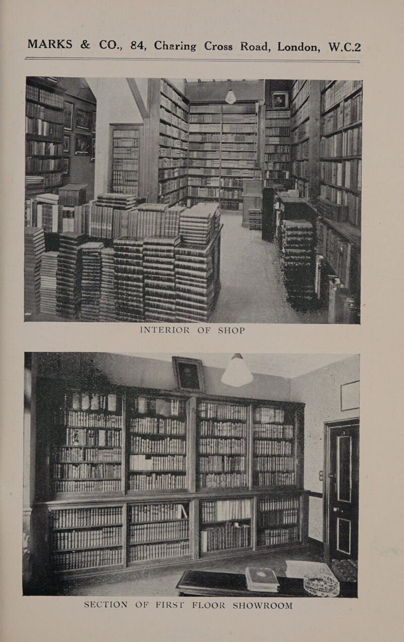 INTERIOR: OF SHOP