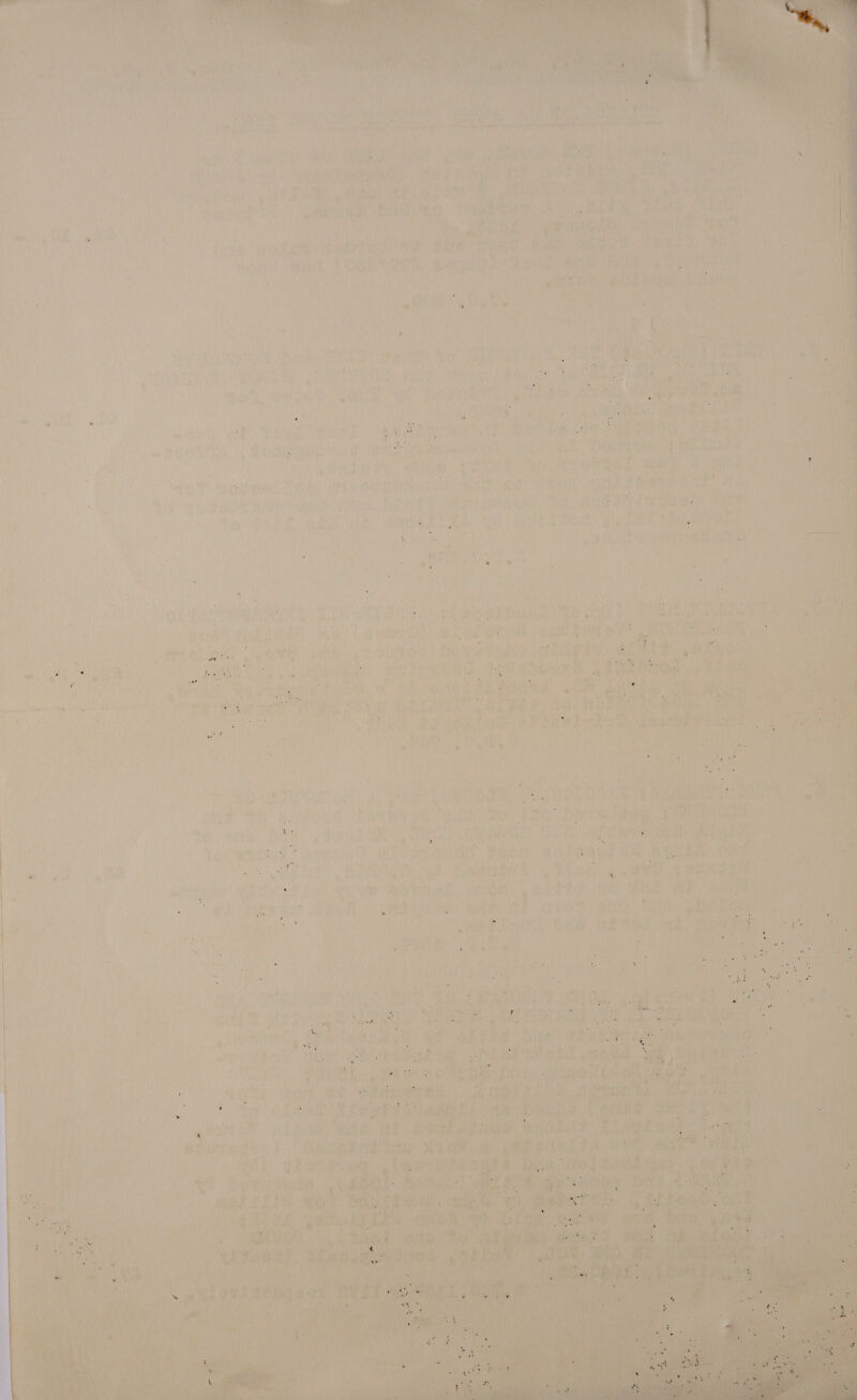          nr OF ts Ree                           i , \ if ‘ \ \ me he ae We Ae al | Kid aA Nes ; be : Vie set m1 J ee ew) LNG ; al a eh Walia Anh iit \ i y i | | i gl ga Fe TBS Be Mak seid | AM Ne Wh eyes } i iy i ‘ . : t aU MAT PA ” a : ® or ‘ Mg Hog HR 2 helen “| i RNY ij f x r ‘ y a ey ree ec ss . ’ ( : 4 nr 4 Ne H Led iy fw 2 4 ; ih DW ‘ fi [i ' Fi fk S Hy Ke M ; } \ Pease rnt way ii ee } ; fer TAA 4] 1 ’ F I V 1 J , ' A ¢ f ‘ bet | / 4             LirhueaAe      ; ibe Ay } 1 ‘ iy ' e , when ny ul ; a ie | | OR aR? hy , Ht Wt | i ri  FF aed ee | it ‘ si we ee eS  