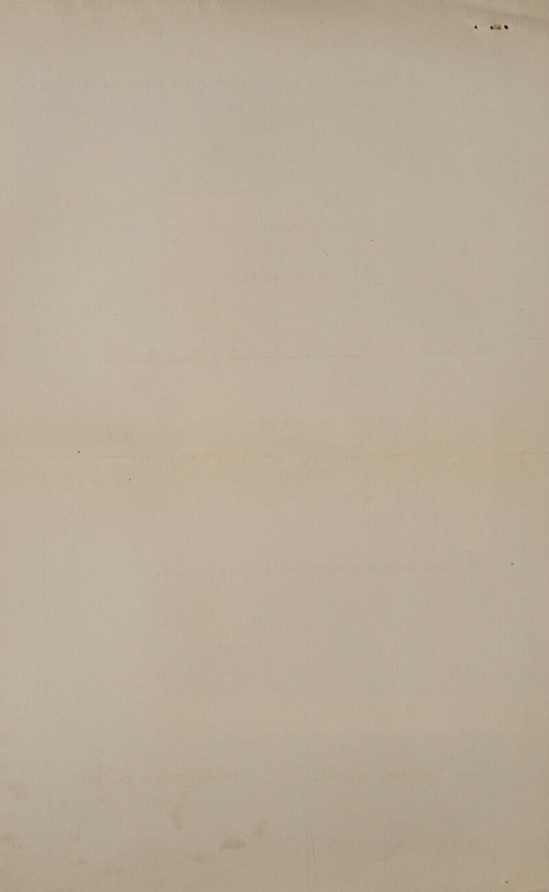 oe FA to SRN Been AD vo: ) ‘4 v ; Yeh 1  y ie ta i 