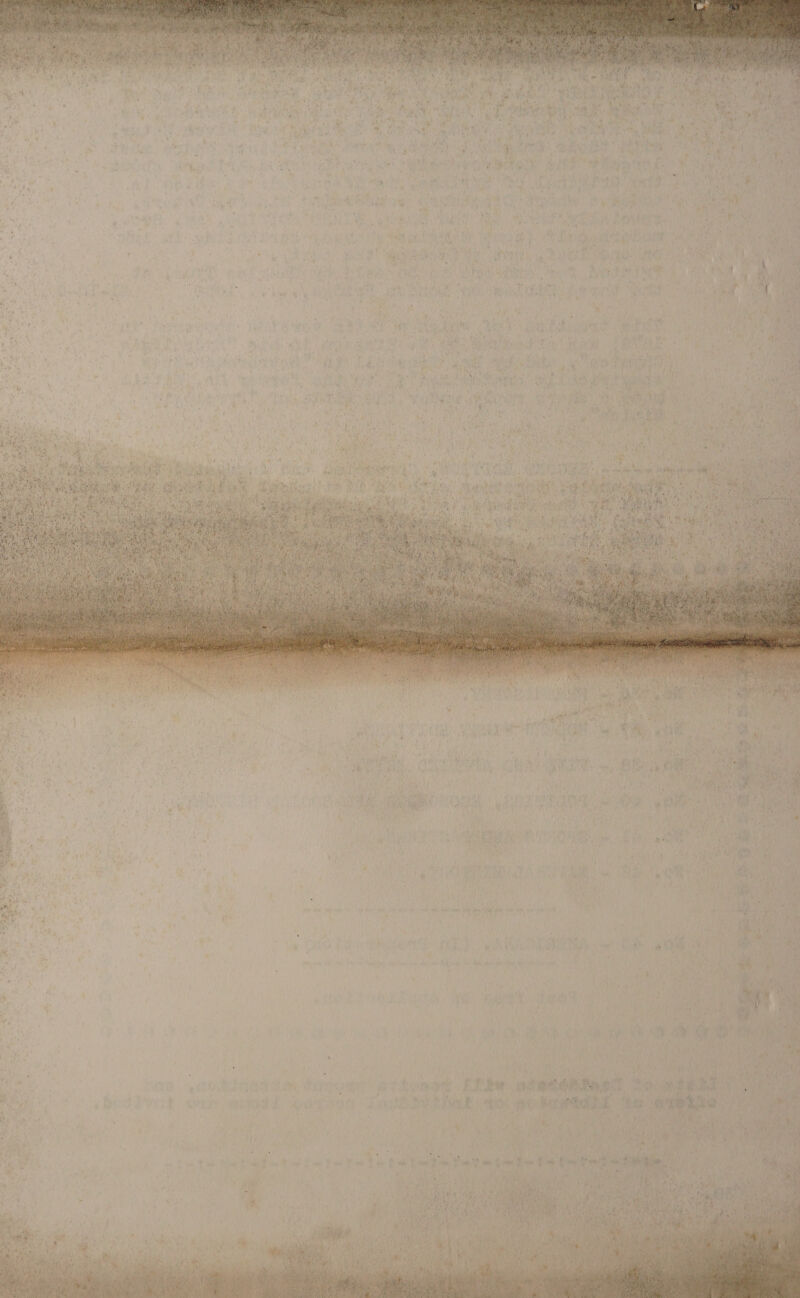  my Ne “ ¥y Se 2h be I |           4 Se Ss    ee: | | oye ost bowed. Dee ates Soma mma Yall Ce Ries | apes aantelleeapangens hes ge OE Vea aay