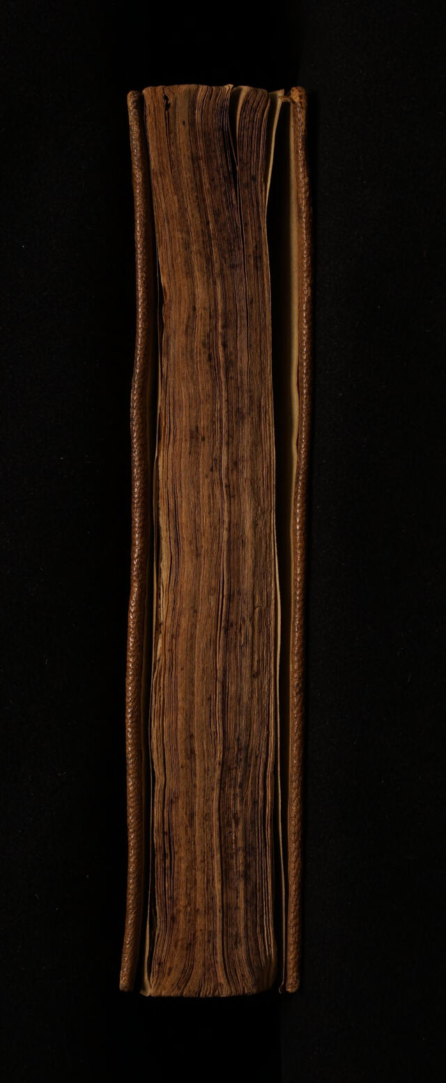 digitised image 3