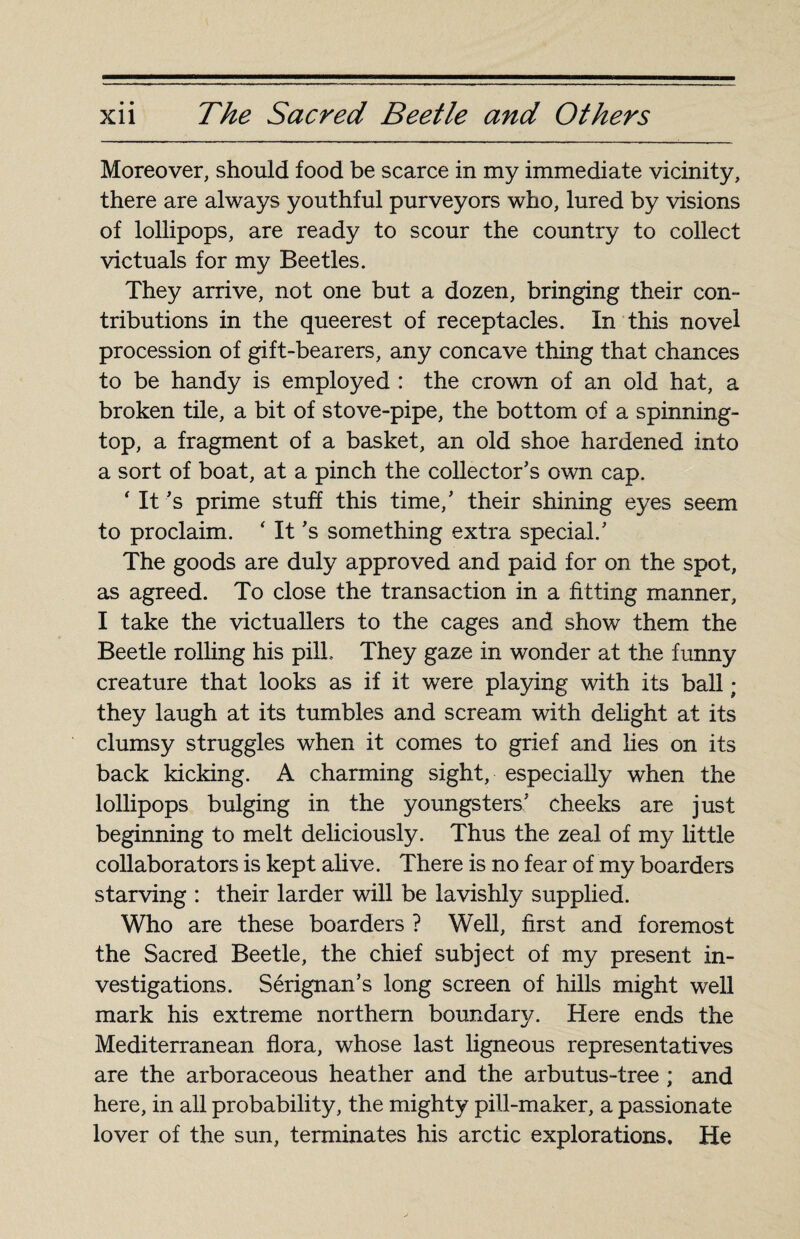 Moreover, should food be scarce in my immediate vicinity, there are always youthful purveyors who, lured by visions of lollipops, are ready to scour the country to collect victuals for my Beetles. They arrive, not one but a dozen, bringing their con¬ tributions in the queerest of receptacles. In this novel procession of gift-bearers, any concave thing that chances to be handy is employed : the crown of an old hat, a broken tile, a bit of stove-pipe, the bottom of a spinning- top, a fragment of a basket, an old shoe hardened into a sort of boat, at a pinch the collector’s own cap. ‘ It's prime stuff this time/ their shining eyes seem to proclaim. ‘ It’s something extra special/ The goods are duly approved and paid for on the spot, as agreed. To close the transaction in a fitting manner, I take the victuallers to the cages and show them the Beetle rolling his pill. They gaze in wonder at the funny creature that looks as if it were playing with its ball ; they laugh at its tumbles and scream with delight at its clumsy struggles when it comes to grief and lies on its back kicking. A charming sight, especially when the lollipops bulging in the youngsters’ cheeks are just beginning to melt deliciously. Thus the zeal of my little collaborators is kept alive. There is no fear of my boarders starving : their larder will be lavishly supplied. Who are these boarders ? Well, first and foremost the Sacred Beetle, the chief subject of my present in¬ vestigations. Sérignan’s long screen of hills might well mark his extreme northern boundary. Here ends the Mediterranean flora, whose last ligneous representatives are the arboraceous heather and the arbutus-tree ; and here, in all probability, the mighty pill-maker, a passionate lover of the sun, terminates his arctic explorations. He