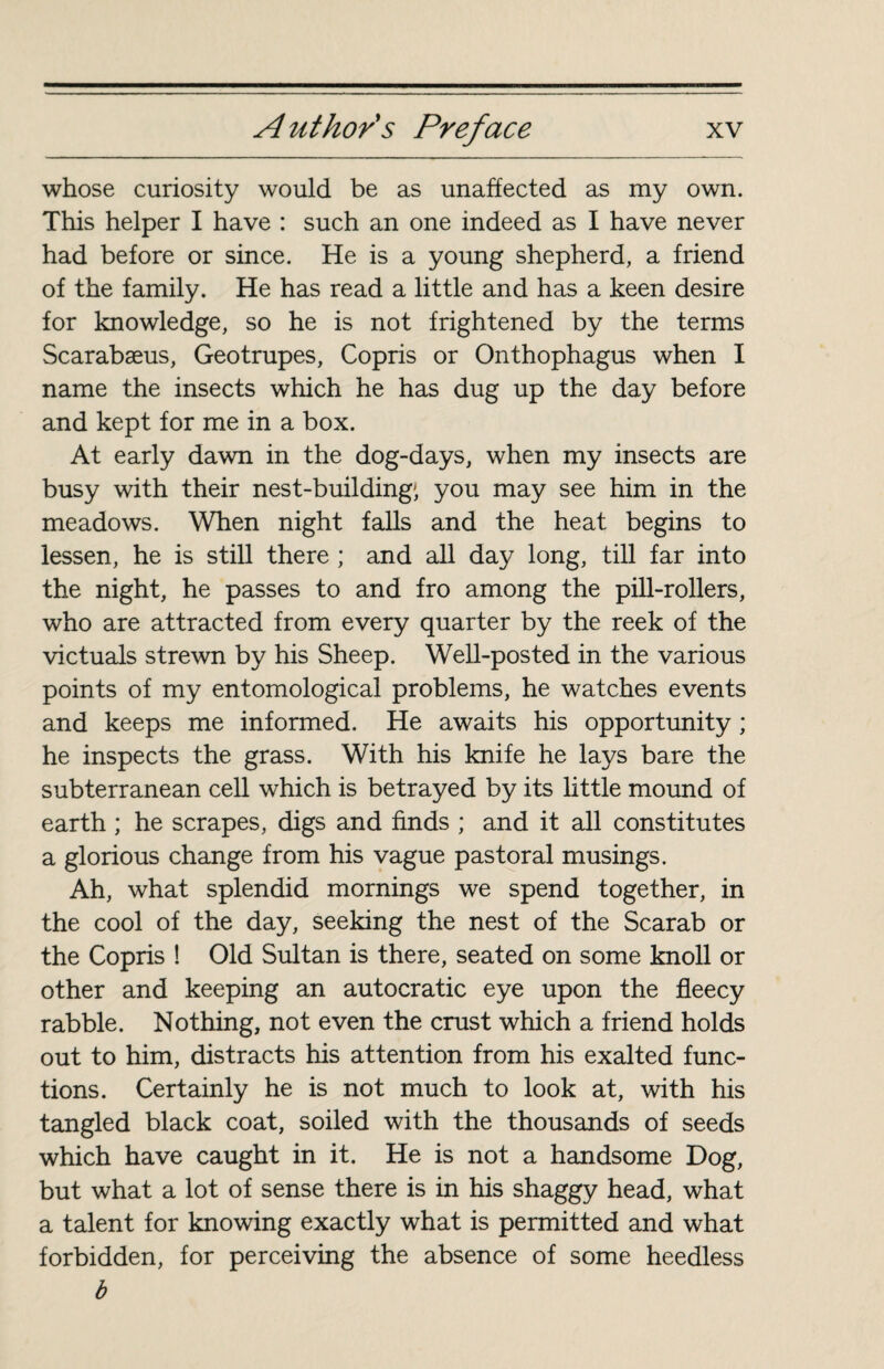 whose curiosity would be as unaffected as my own. This helper I have : such an one indeed as I have never had before or since. He is a young shepherd, a friend of the family. He has read a little and has a keen desire for knowledge, so he is not frightened by the terms Scarabæus, Geotrupes, Copris or Onthophagus when I name the insects which he has dug up the day before and kept for me in a box. At early dawn in the dog-days, when my insects are busy with their nest-building; you may see him in the meadows. When night falls and the heat begins to lessen, he is still there ; and all day long, till far into the night, he passes to and fro among the pill-rollers, who are attracted from every quarter by the reek of the victuals strewn by his Sheep. Well-posted in the various points of my entomological problems, he watches events and keeps me informed. He awaits his opportunity ; he inspects the grass. With his knife he lays bare the subterranean cell which is betrayed by its little mound of earth ; he scrapes, digs and finds ; and it all constitutes a glorious change from his vague pastoral musings. Ah, what splendid mornings we spend together, in the cool of the day, seeking the nest of the Scarab or the Copris ! Old Sultan is there, seated on some knoll or other and keeping an autocratic eye upon the fleecy rabble. Nothing, not even the crust which a friend holds out to him, distracts his attention from his exalted func¬ tions. Certainly he is not much to look at, with his tangled black coat, soiled with the thousands of seeds which have caught in it. He is not a handsome Dog, but what a lot of sense there is in his shaggy head, what a talent for knowing exactly what is permitted and what forbidden, for perceiving the absence of some heedless b