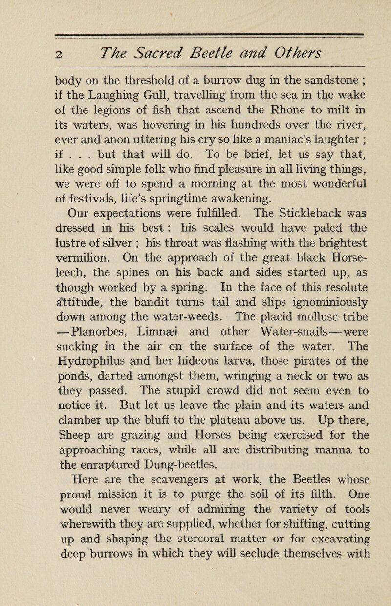 body on the threshold of a burrow dug in the sandstone ; if the Laughing Gull, travelling from the sea in the wake of the legions of fish that ascend the Rhone to milt in its waters, was hovering in his hundreds over the river, ever and anon uttering his cry so like a maniac's laughter ; if . . . but that will do. To be brief, let us say that, like good simple folk who find pleasure in all living things, we were off to spend a morning at the most wonderful of festivals, life's springtime awakening. Our expectations were fulfilled. The Stickleback was dressed in his best : his scales would have paled the lustre of silver ; his throat was flashing with the brightest vermilion. On the approach of the great black Horse- leech, the spines on his back and sides started up, as though worked by a spring. In the face of this resolute attitude, the bandit turns tail and slips ignominiously down among the water-weeds. The placid mollusc tribe — Planorbes, Limnæi and other Water-snails—-were sucking in the air on the surface of the water. The Hydrophilus and her hideous larva, those pirates of the ponds, darted amongst them, wringing a neck or two as they passed. The stupid crowd did not seem even to notice it. But let us leave the plain and its waters and clamber up the bluff to the plateau above us. Up there. Sheep are grazing and Horses being exercised for the approaching races, while all are distributing manna to the enraptured Dung-beetles. Here are the scavengers at work, the Beetles whose proud mission it is to purge the soil of its filth. One would never weary of admiring the variety of tools wherewith they are supplied, whether for shifting, cutting up and shaping the stercoral matter or for excavating deep burrows in which they will seclude themselves with