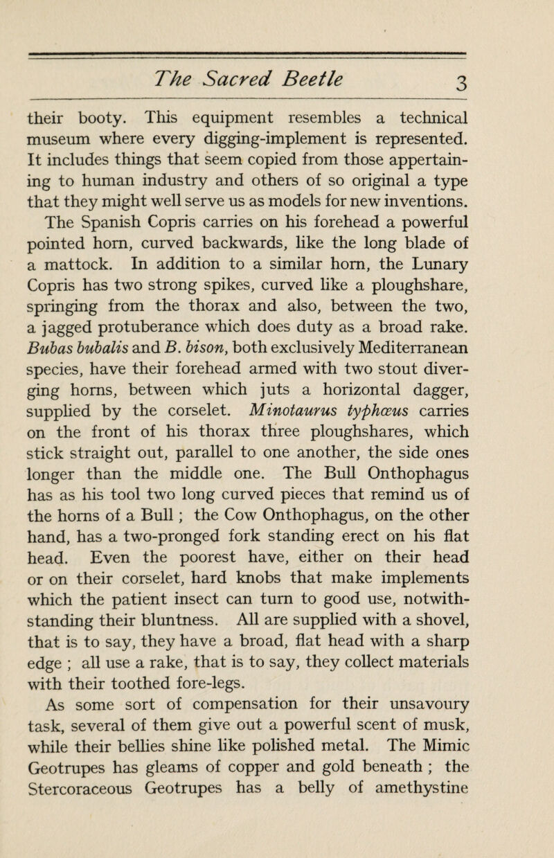their booty. This equipment resembles a technical museum where every digging-implement is represented. It includes things that seem copied from those appertain¬ ing to human industry and others of so original a type that they might well serve us as models for new inventions. The Spanish Copris carries on his forehead a powerful pointed horn, curved backwards, like the long blade of a mattock. In addition to a similar horn, the Lunary Copris has two strong spikes, curved like a ploughshare, springing from the thorax and also, between the two, a jagged protuberance which does duty as a broad rake. Bub as bubalis and B. bison, both exclusively Mediterranean species, have their forehead armed with two stout diver¬ ging horns, between which juts a horizontal dagger, supplied by the corselet. Minotaur us typhœus carries on the front of his thorax three ploughshares, which stick straight out, parallel to one another, the side ones longer than the middle one. The Bull Onthophagus has as his tool two long curved pieces that remind us of the horns of a Bull ; the Cow Onthophagus, on the other hand, has a two-pronged fork standing erect on his flat head. Even the poorest have, either on their head or on their corselet, hard knobs that make implements which the patient insect can turn to good use, notwith¬ standing their bluntness. All are supplied with a shovel, that is to say, they have a broad, flat head with a sharp edge ; all use a rake, that is to say, they collect materials with their toothed fore-legs. As some sort of compensation for their unsavoury task, several of them give out a powerful scent of musk, while their bellies shine like polished metal. The Mimic Geotrupes has gleams of copper and gold beneath ; the Stercoraceous Geotrupes has a belly of amethystine