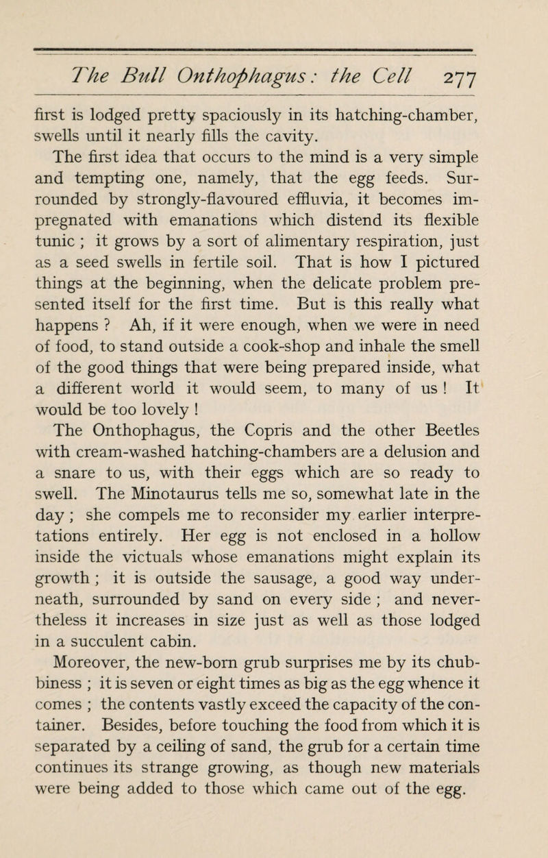 first is lodged pretty spaciously in its hatching-chamber, swells until it nearly fills the cavity. The first idea that occurs to the mind is a very simple and tempting one, namely, that the egg feeds. Sur¬ rounded by strongly-flavoured effluvia, it becomes im¬ pregnated with emanations which distend its flexible tunic ; it grows by a sort of alimentary respiration, just as a seed swells in fertile soil. That is how I pictured things at the beginning, when the delicate problem pre¬ sented itself for the first time. But is this really what happens ? Ah, if it were enough, when we were in need of food, to stand outside a cook-shop and inhale the smell of the good things that were being prepared inside, what a different world it would seem, to many of us ! It would be too lovely ! The Onthophagus, the Copris and the other Beetles with cream-washed hatching-chambers are a delusion and a snare to us, with their eggs which are so ready to swell. The Minotaurus tells me so, somewhat late in the day ; she compels me to reconsider my earlier interpre¬ tations entirely. Her egg is not enclosed in a hollow inside the victuals whose emanations might explain its growth ; it is outside the sausage, a good way under¬ neath, surrounded by sand on every side ; and never¬ theless it increases in size just as well as those lodged in a succulent cabin. Moreover, the new-born grub surprises me by its chub¬ biness ; it is seven or eight times as big as the egg whence it comes ; the contents vastly exceed the capacity of the con¬ tainer. Besides, before touching the food from which it is separated by a ceiling of sand, the grub for a certain time continues its strange growing, as though new materials were being added to those which came out of the egg.