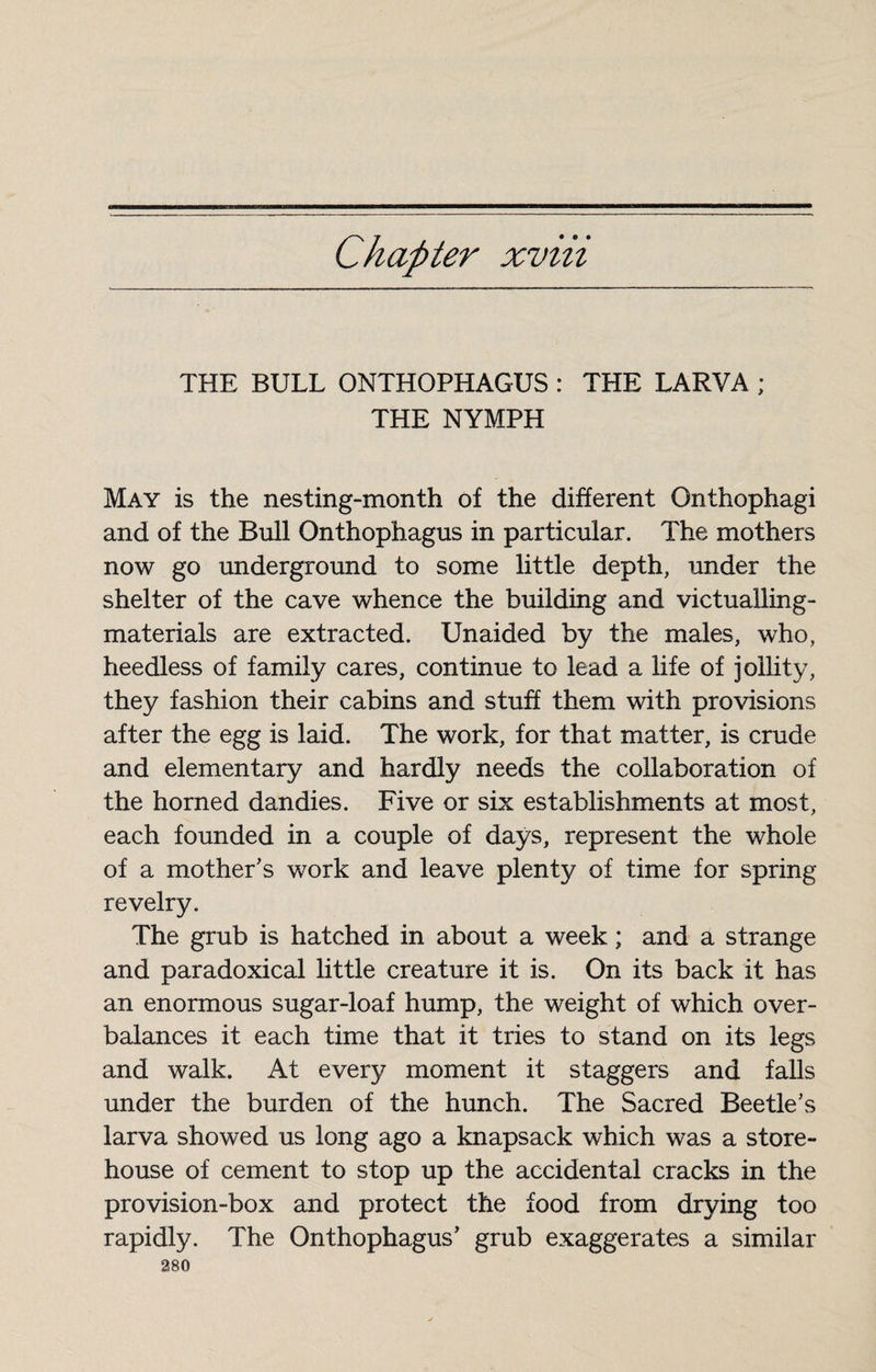 Chapter xviii THE BULL ONTHOPHAGUS : THE LARVA ; THE NYMPH May is the nesting-month of the different Gnthophagi and of the Bull Onthophagus in particular. The mothers now go underground to some little depth, under the shelter of the cave whence the building and victualling- materials are extracted. Unaided by the males, who, heedless of family cares, continue to lead a life of jollity, they fashion their cabins and stuff them with provisions after the egg is laid. The work, for that matter, is crude and elementary and hardly needs the collaboration of the horned dandies. Five or six establishments at most, each founded in a couple of days, represent the whole of a mother’s work and leave plenty of time for spring revelry. The grub is hatched in about a week ; and a strange and paradoxical little creature it is. On its back it has an enormous sugar-loaf hump, the weight of which over¬ balances it each time that it tries to stand on its legs and walk. At every moment it staggers and falls under the burden of the hunch. The Sacred Beetle’s larva showed us long ago a knapsack which was a store¬ house of cement to stop up the accidental cracks in the provision-box and protect the food from drying too rapidly. The Onthophagus’ grub exaggerates a similar