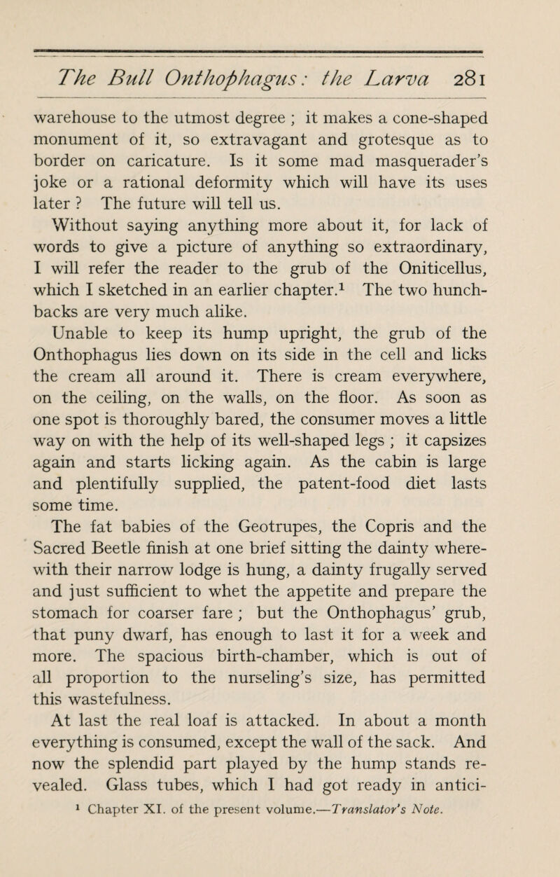 warehouse to the utmost degree ; it makes a cone-shaped monument of it, so extravagant and grotesque as to border on caricature. Is it some mad masquerader’s joke or a rational deformity which will have its uses later ? The future will tell us. Without saying anything more about it, for lack of words to give a picture of anything so extraordinary, I will refer the reader to the grub of the Oniticellus, which I sketched in an earlier chapter.1 The two hunch¬ backs are very much alike. Unable to keep its hump upright, the grub of the Onthophagus lies down on its side in the cell and licks the cream all around it. There is cream everywhere, on the ceiling, on the walls, on the floor. As soon as one spot is thoroughly bared, the consumer moves a little way on with the help of its well-shaped legs ; it capsizes again and starts licking again. As the cabin is large and plentifully supplied, the patent-food diet lasts some time. The fat babies of the Geotrupes, the Copris and the Sacred Beetle finish at one brief sitting the dainty where¬ with their narrow lodge is hung, a dainty frugally served and just sufficient to whet the appetite and prepare the stomach for coarser fare ; but the Onthophagus’ grub, that puny dwarf, has enough to last it for a week and more. The spacious birth-chamber, which is out of all proportion to the nurseling’s size, has permitted this wastefulness. At last the real loaf is attacked. In about a month everything is consumed, except the wall of the sack. And now the splendid part played by the hump stands re¬ vealed. Glass tubes, which I had got ready in antici- 1 Chapter XI. of the present volume.—Translator’s Note.