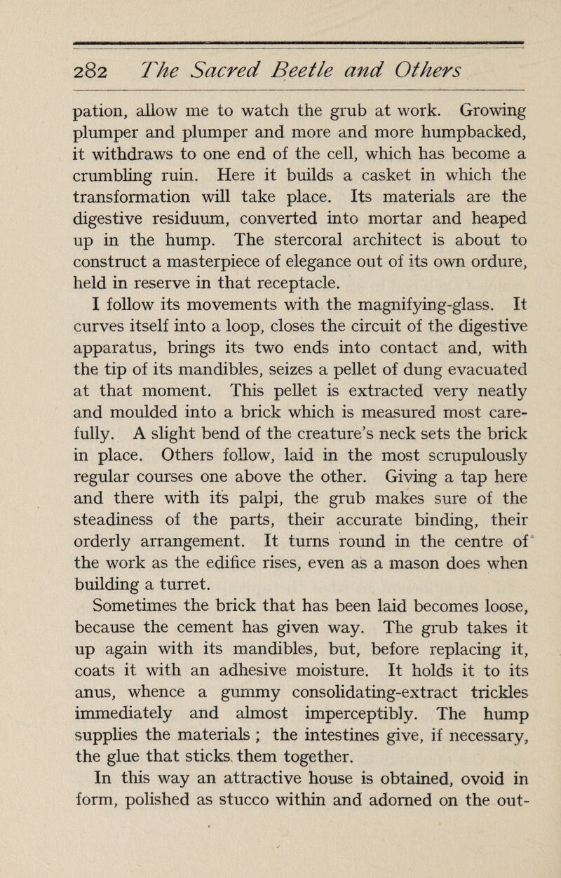 pation, allow me to watch the grub at work. Growing plumper and plumper and more and more humpbacked, it withdraws to one end of the cell, which has become a crumbling ruin. Here it builds a casket in which the transformation will take place. Its materials are the digestive residuum, converted into mortar and heaped up in the hump. The stercoral architect is about to construct a masterpiece of elegance out of its own ordure, held in reserve in that receptacle. I follow its movements with the magnifying-glass. It curves itself into a loop, closes the circuit of the digestive apparatus, brings its two ends into contact and, with the tip of its mandibles, seizes a pellet of dung evacuated at that moment. This pellet is extracted very neatly and moulded into a brick which is measured most care¬ fully. A slight bend of the creature’s neck sets the brick in place. Others follow, laid in the most scrupulously regular courses one above the other. Giving a tap here and there with it's palpi, the grub makes sure of the steadiness of the parts, their accurate binding, their orderly arrangement. It turns round in the centre of the work as the edifice rises, even as a mason does when building a turret. Sometimes the brick that has been laid becomes loose, because the cement has given way. The grub takes it up again with its mandibles, but, before replacing it, coats it with an adhesive moisture. It holds it to its anus, whence a gummy consolidating-extract trickles immediately and almost imperceptibly. The hump supplies the materials ; the intestines give, if necessary, the glue that sticks, them together. In this way an attractive house is obtained, ovoid in form, polished as stucco within and adorned on the out-