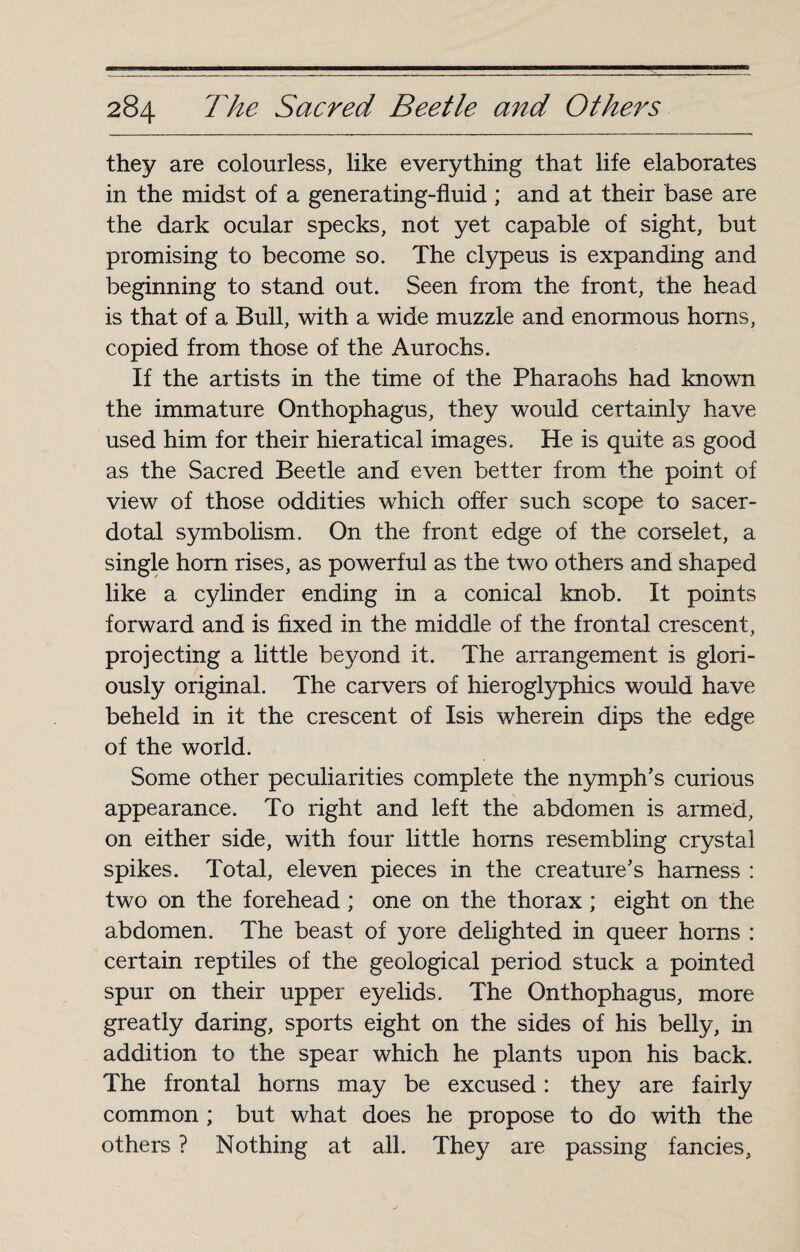 they are colourless, like everything that life elaborates in the midst of a generating-fluid ; and at their base are the dark ocular specks, not yet capable of sight, but promising to become so. The clypeus is expanding and beginning to stand out. Seen from the front, the head is that of a Bull, with a wide muzzle and enormous horns, copied from those of the Aurochs. If the artists in the time of the Pharaohs had known the immature Onthophagus, they would certainly have used him for their hieratical images. He is quite as good as the Sacred Beetle and even better from the point of view of those oddities which offer such scope to sacer¬ dotal symbolism. On the front edge of the corselet, a single horn rises, as powerful as the two others and shaped like a cylinder ending in a conical knob. It points forward and is fixed in the middle of the frontal crescent, projecting a little beyond it. The arrangement is glori¬ ously original. The carvers of hieroglyphics would have beheld in it the crescent of Isis wherein dips the edge of the world. Some other peculiarities complete the nymph’s curious appearance. To right and left the abdomen is armed, on either side, with four little horns resembling crystal spikes. Total, eleven pieces in the creature’s harness : two on the forehead ; one on the thorax ; eight on the abdomen. The beast of yore delighted in queer horns : certain reptiles of the geological period stuck a pointed spur on their upper eyelids. The Onthophagus, more greatly daring, sports eight on the sides of his belly, in addition to the spear which he plants upon his back. The frontal horns may be excused : they are fairly common ; but what does he propose to do with the others ? Nothing at all. They are passing fancies,