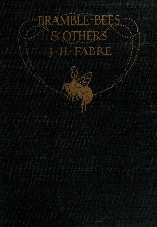 No text description is available for this image