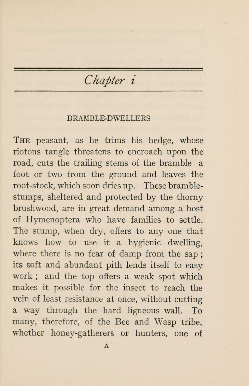 BRAMBLE-DWELLERS The peasant, as he trims his hedge, whose riotous tangle threatens to encroach upon the road, cuts the trailing stems of the bramble a foot or two from the ground and leaves the root-stock, which soon dries up. These bramble- stumps, sheltered and protected by the thorny brushwood, are in great demand among a host of Hymenoptera who have families to settle. The stump, when dry, offers to any one that knows how to use it a hygienic dwelling, where there is no fear of damp from the sap ; its soft and abundant pith lends itself to easy work ; and the top offers a weak spot which makes it possible for the insect to reach the vein of least resistance at once, without cutting a way through the hard ligneous wall. To many, therefore, of the Bee and Wasp tribe, whether honey-gatherers or hunters, one of A