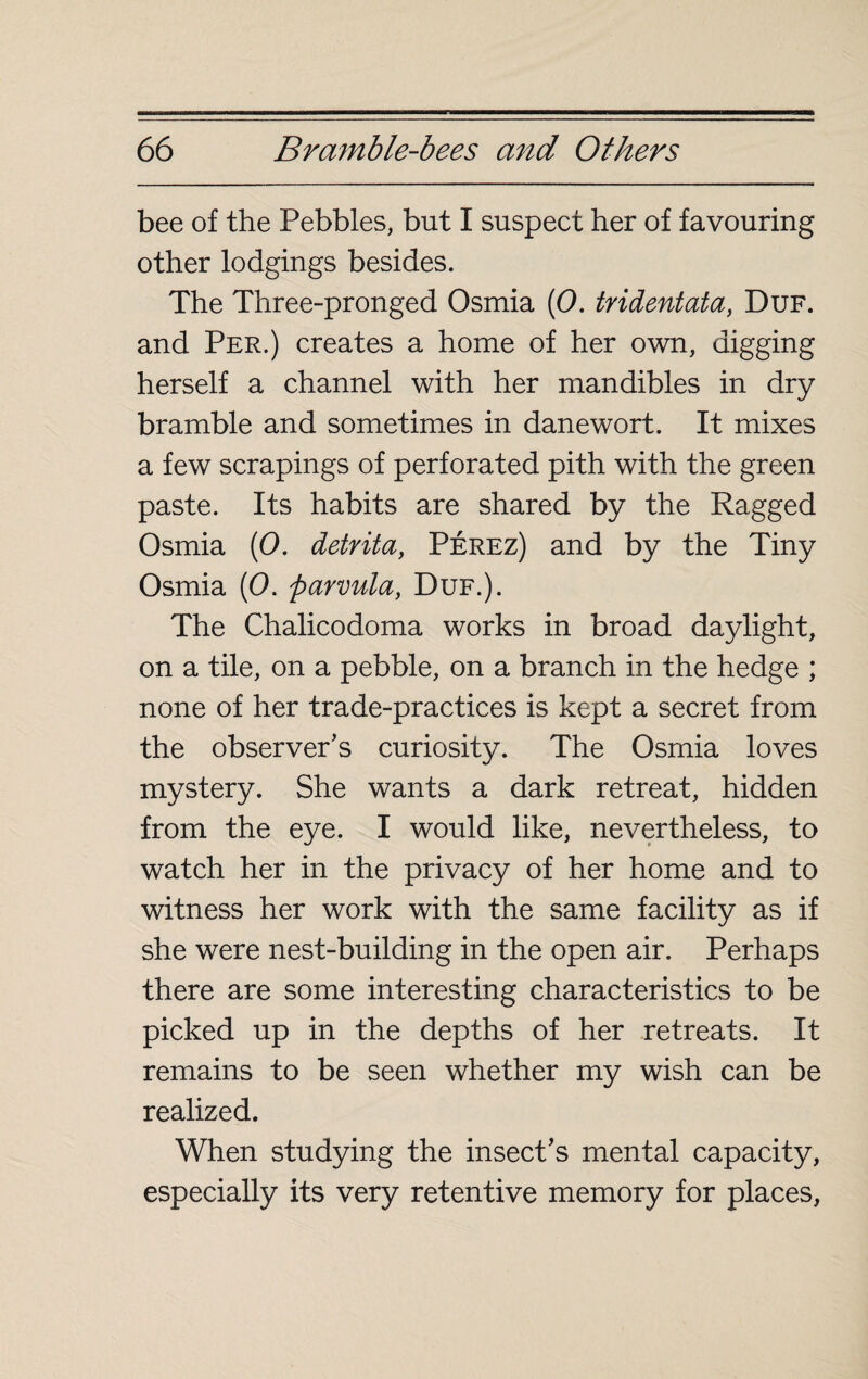 bee of the Pebbles, but I suspect her of favouring other lodgings besides. The Three-pronged Osmia (0. tridentata, Duf. and Per.) creates a home of her own, digging herself a channel with her mandibles in dry bramble and sometimes in danewort. It mixes a few scrapings of perforated pith with the green paste. Its habits are shared by the Ragged Osmia (0. detrita, Pérez) and by the Tiny Osmia (0. parvula, Duf.). The Chalicodoma works in broad daylight, on a tile, on a pebble, on a branch in the hedge ; none of her trade-practices is kept a secret from the observer's curiosity. The Osmia loves mystery. She wants a dark retreat, hidden from the eye. I would like, nevertheless, to watch her in the privacy of her home and to witness her work with the same facility as if she were nest-building in the open air. Perhaps there are some interesting characteristics to be picked up in the depths of her retreats. It remains to be seen whether my wish can be realized. When studying the insect's mental capacity, especially its very retentive memory for places,