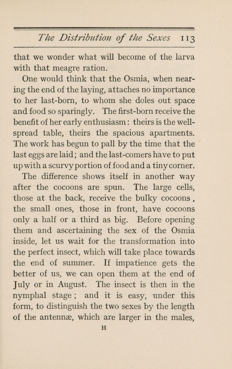 that we wonder what will become of the larva with that meagre ration. One would think that the Osmia, when near¬ ing the end of the laying, attaches no importance to her last-born, to whom she doles out space and food so sparingly. The first-born receive the benefit of her early enthusiasm : theirs is the well- spread table, theirs the spacious apartments. The work has begun to pall by the time that the last eggs are laid ; and the last-comers have to put up with a scurvy portion of food and a tiny corner. The difference shows itself in another wav after the cocoons are spun. The large cells, those at the back, receive the bulky cocoons , the small ones, those in front, have cocoons only a half or a third as big. Before opening them and ascertaining the sex of the Osmia inside, let us wait for the transformation into the perfect insect, which will take place towards the end of summer. If impatience gets the better of us, we can open them at the end of July or in August. The insect is then in the nymphal stage ; and it is easy, under this form, to distinguish the two sexes by the length of the antennae, which are larger in the males, H