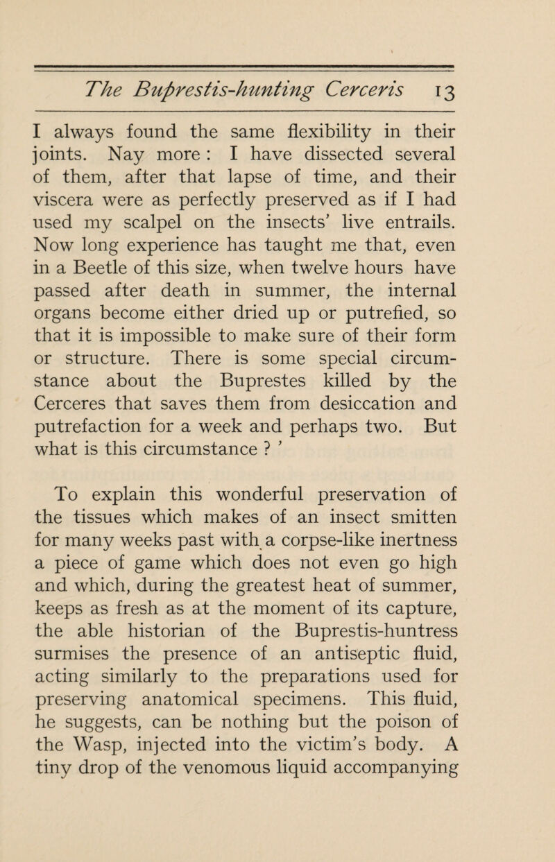 I always found the same flexibility in their joints. Nay more : I have dissected several of them, after that lapse of time, and their viscera were as perfectly preserved as if I had used my scalpel on the insects’ live entrails. Now long experience has taught me that, even in a Beetle of this size, when twelve hours have passed after death in summer, the internal organs become either dried up or putrefied, so that it is impossible to make sure of their form or structure. There is some special circum¬ stance about the Buprestes killed by the Cerceres that saves them from desiccation and putrefaction for a week and perhaps two. But what is this circumstance ? ’ To explain this wonderful preservation of the tissues which makes of an insect smitten for many weeks past with a corpse-like inertness a piece of game which does not even go high and which, during the greatest heat of summer, keeps as fresh as at the moment of its capture, the able historian of the Buprestis-huntress surmises the presence of an antiseptic fluid, acting similarly to the preparations used for preserving anatomical specimens. This fluid, he suggests, can be nothing but the poison of the Wasp, injected into the victim’s body. A tiny drop of the venomous liquid accompanying