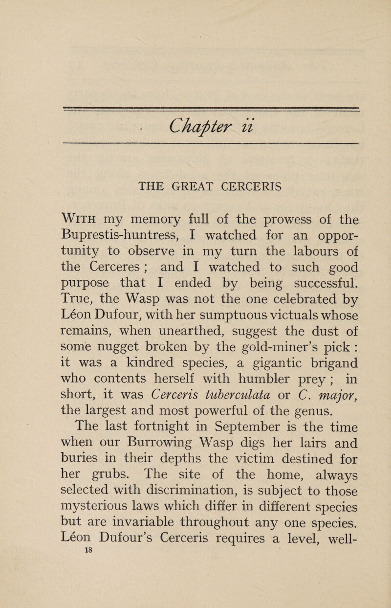 Chapter ii THE GREAT CERCERIS With my memory full of the prowess of the Buprestis-huntress, I watched for an oppor¬ tunity to observe in my turn the labours of the Cerceres ; and I watched to such good purpose that I ended by being successful. True, the Wasp was not the one celebrated by Léon Dufour, with her sumptuous victuals whose remains, when unearthed, suggest the dust of some nugget broken by the gold-miner’s pick : it was a kindred species, a gigantic brigand who contents herself with humbler prey ; in short, it was Cerceris tuberculata or C. major, the largest and most powerful of the genus. The last fortnight in September is the time when our Burrowing Wasp digs her lairs and buries in their depths the victim destined for her grubs. The site of the home, always selected with discrimination, is subject to those mysterious laws which differ in different species but are invariable throughout any one species. Léon Dufour’s Cerceris requires a level, well-