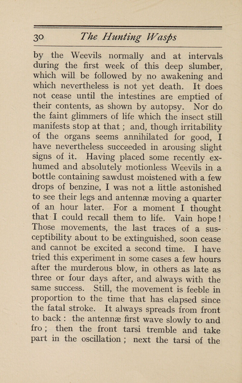 by the W eevils normally and at intervals during the first week of this deep slumber, which will be followed by no awakening and which nevertheless is not yet death. It does not cease until the intestines are emptied of their contents, as shown by autopsy. Nor do the faint glimmers of life which the insect still manifests stop at that ; and, though irritability of the organs seems annihilated for good, I have nevertheless succeeded in arousing slight signs of it. Having placed some recently ex¬ humed and absolutely motionless Weevils in a bottle containing sawdust moistened with a few drops of benzine, I was not a little astonished to see their legs and antennae moving a quarter of an hour later. For a moment I thought that I could recall them to life. Vain hope! Those movements, the last traces of a sus¬ ceptibility about to be extinguished, soon cease and cannot be excited a second time. I have tried this experiment in some cases a few hours after the murderous blow, in others as late as three or four days after, and always with the same success. Still, the movement is feeble in proportion to the time that has elapsed since the fatal stroke. It always spreads from front to back : the antennae first wave slowly to and fro ; then the front tarsi tremble and take part in the oscillation ; next the tarsi of the