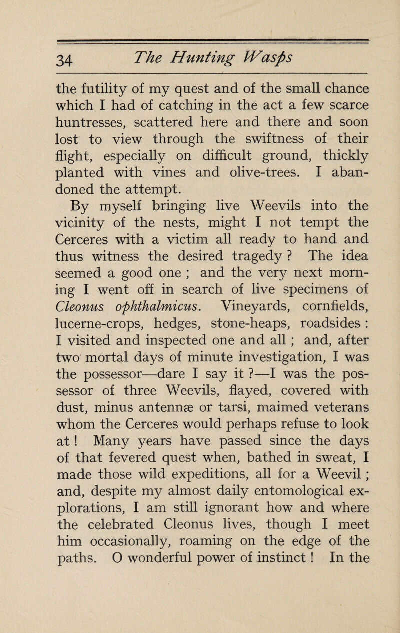 the futility of my quest and of the small chance which I had of catching in the act a few scarce huntresses, scattered here and there and soon lost to view through the swiftness of their flight, especially on difficult ground, thickly planted with vines and olive-trees. I aban¬ doned the attempt. By myself bringing live Weevils into the vicinity of the nests, might I not tempt the Cerceres with a victim all ready to hand and thus witness the desired tragedy ? The idea seemed a good one ; and the very next morn¬ ing I went off in search of live specimens of Cleonus ophthalmicus. Vineyards, cornfields, lucerne-crops, hedges, stone-heaps, roadsides : I visited and inspected one and all ; and, after two mortal days of minute investigation, I was the possessor—dare I say it ?—I was the pos¬ sessor of three Weevils, flayed, covered with dust, minus antennae or tarsi, maimed veterans whom the Cerceres would perhaps refuse to look at ! Many years have passed since the days of that fevered quest when, bathed in sweat, I made those wild expeditions, all for a Weevil ; and, despite my almost daily entomological ex¬ plorations, I am still ignorant how and where the celebrated Cleonus lives, though I meet him occasionally, roaming on the edge of the paths. O wonderful power of instinct ! In the