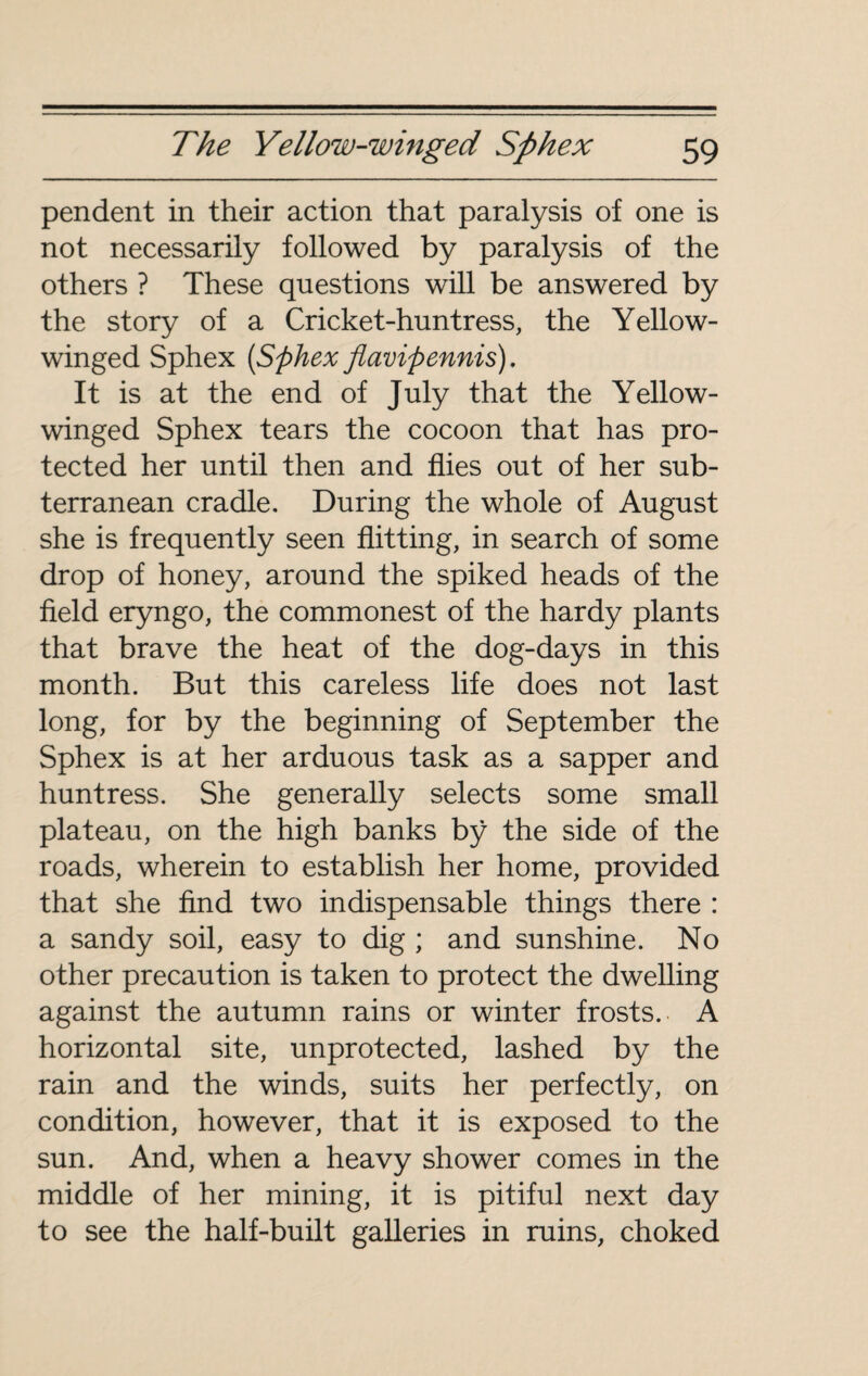 pendent in their action that paralysis of one is not necessarily followed by paralysis of the others ? These questions will be answered by the story of a Cricket-huntress, the Yellow¬ winged Sphex (Sphex flavipennis). It is at the end of July that the Yellow¬ winged Sphex tears the cocoon that has pro¬ tected her until then and flies out of her sub¬ terranean cradle. During the whole of August she is frequently seen flitting, in search of some drop of honey, around the spiked heads of the field eryngo, the commonest of the hardy plants that brave the heat of the dog-days in this month. But this careless life does not last long, for by the beginning of September the Sphex is at her arduous task as a sapper and huntress. She generally selects some small plateau, on the high banks by the side of the roads, wherein to establish her home, provided that she find two indispensable things there : a sandy soil, easy to dig ; and sunshine. No other precaution is taken to protect the dwelling against the autumn rains or winter frosts.. A horizontal site, unprotected, lashed by the rain and the winds, suits her perfectly, on condition, however, that it is exposed to the sun. And, when a heavy shower comes in the middle of her mining, it is pitiful next day to see the half-built galleries in ruins, choked