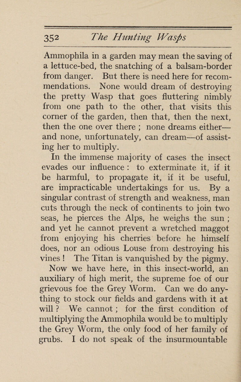 Ammophila in a garden may mean the saving of a lettuce-bed, the snatching of a balsam-border from danger. But there is need here for recom¬ mendations. None would dream of destroying the pretty Wasp that goes fluttering nimbly from one path to the other, that visits this corner of the garden, then that, then the next, then the one over there ; none dreams either— and none, unfortunately, can dream—of assist¬ ing her to multiply. In the immense majority of cases the insect evades our influence : to exterminate it, if it be harmful, to propagate it, if it be useful, are impracticable undertakings for us. By a singular contrast of strength and weakness, man cuts through the neck of continents to join two seas, he pierces the Alps, he weighs the sun ; and yet he cannot prevent a wretched maggot from enjoying his cherries before he himself does, nor an odious Louse from destroying his vines ! The Titan is vanquished by the pigmy. Now we have here, in this insect-world, an auxiliary of high merit, the supreme foe of our grievous foe the Grey Worm. Can we do any¬ thing to stock our fields and gardens with it at will ? We cannot ; for the first condition of multiplying the Ammophila would be to multiply the Grey Worm, the only food of her family of grubs. I do not speak of the insurmountable