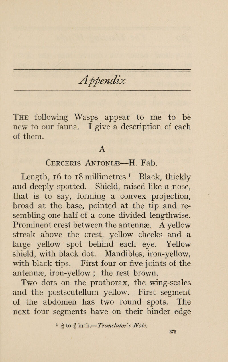 Appendix The following Wasps appear to me to be new to our fauna. I give a description of each of them. A Cerceris Antoniæ—H. Fab. Length, 16 to 18 millimetres.1 Black, thickly and deeply spotted. Shield, raised like a nose, that is to say, forming a convex projection, broad at the base, pointed at the tip and re¬ sembling one half of a cone divided lengthwise. Prominent crest between the antennae. A yellow streak above the crest, yellow cheeks and a large yellow spot behind each eye. Yellow shield, with black dot. Mandibles, iron-yellow, with black tips. First four or five joints of the antennae, iron-yellow ; the rest brown. Two dots on the prothorax, the wing-scales and the postscutellum yellow. First segment of the abdomen has two round spots. The next four segments have on their hinder edge 1 | to | inch.—Translator's Note.